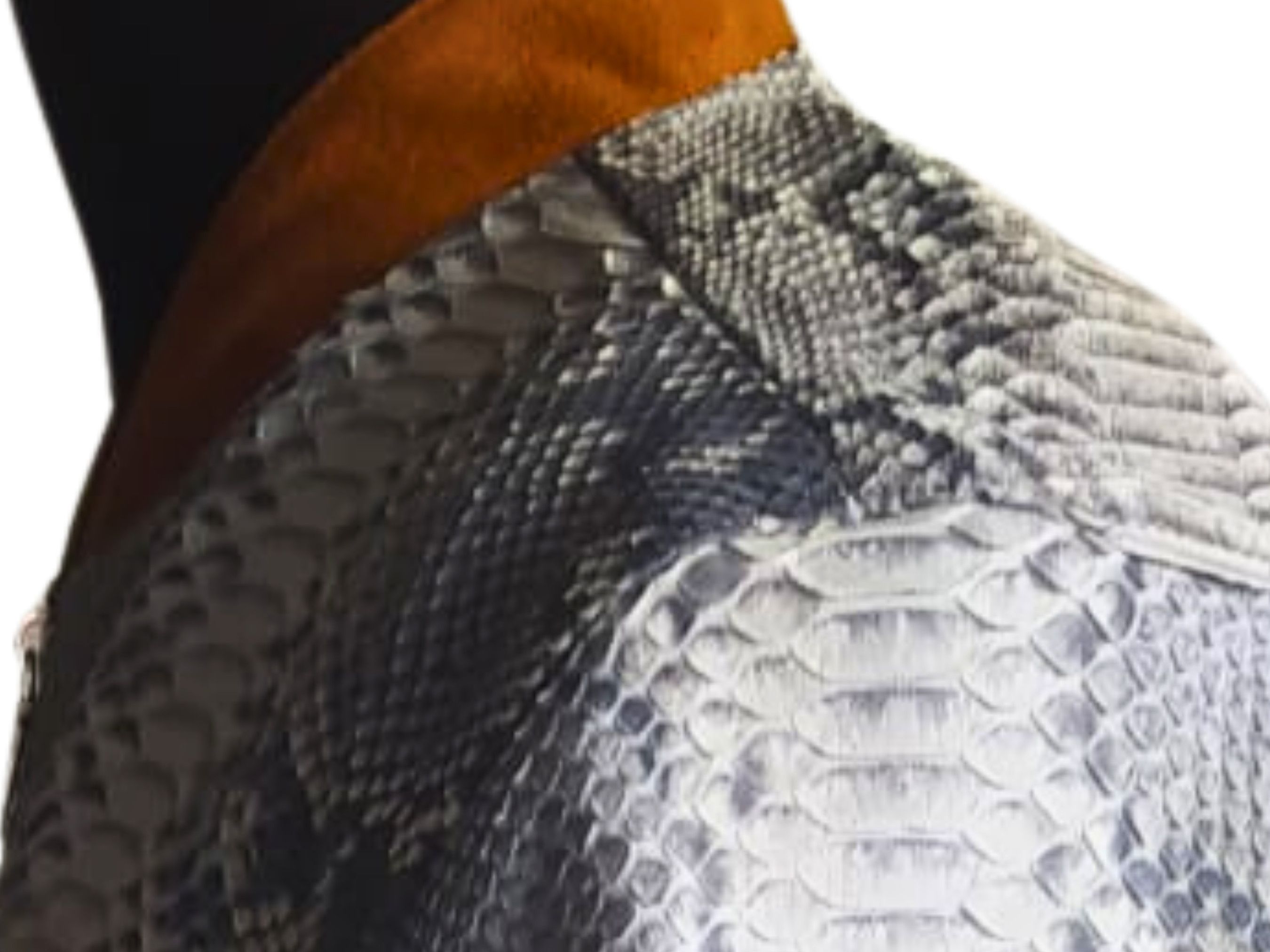 Other Trendy Snakeskin Cowboy Jacket with a Touch of Suede Size US XL / EU 56 / 4 - 6 Thumbnail
