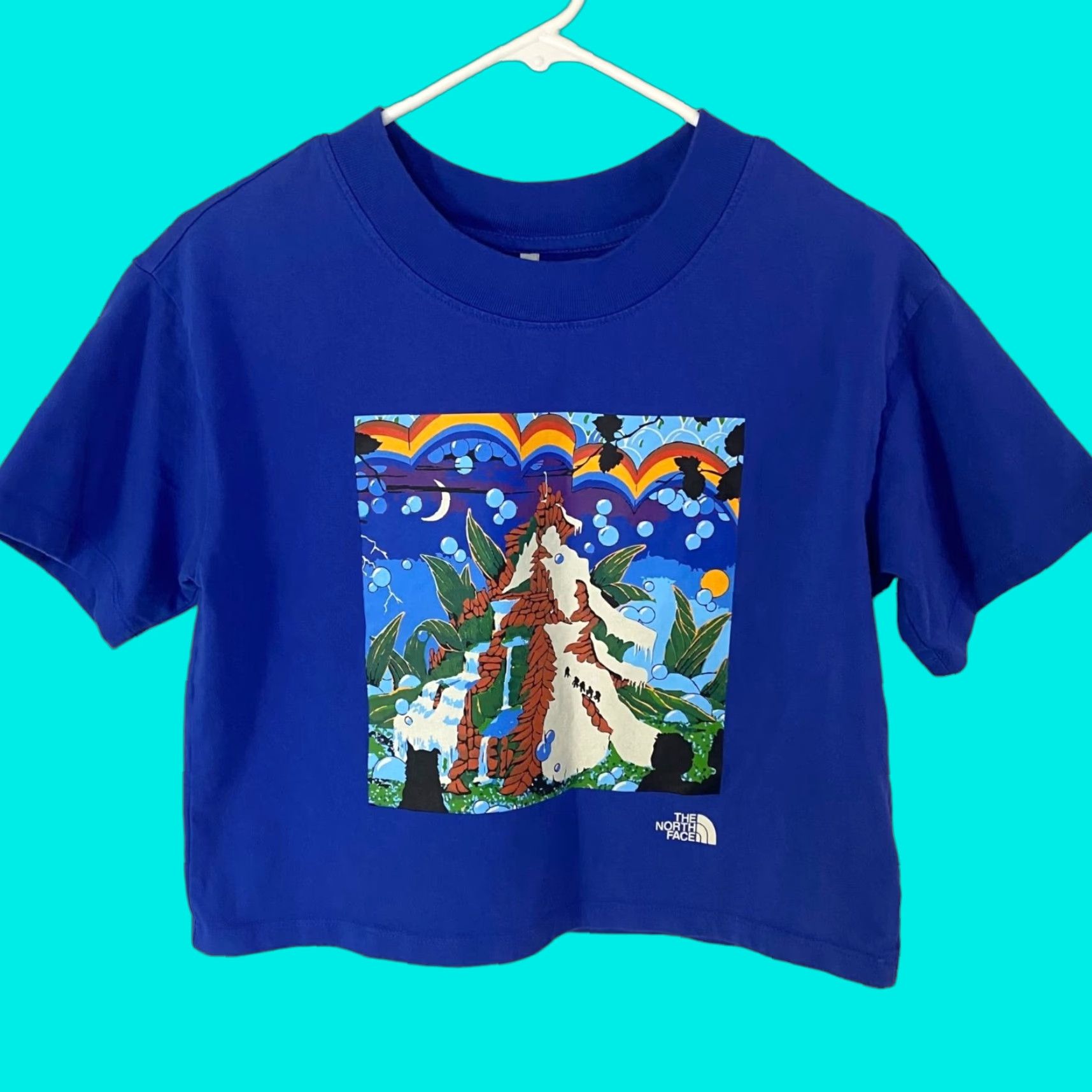 The North Face The North Face Cropped Mountain T-Shirt Womens Small Blue Graphic Casual Tee Size S / US 4 / IT 40 - 1 Thumbnail