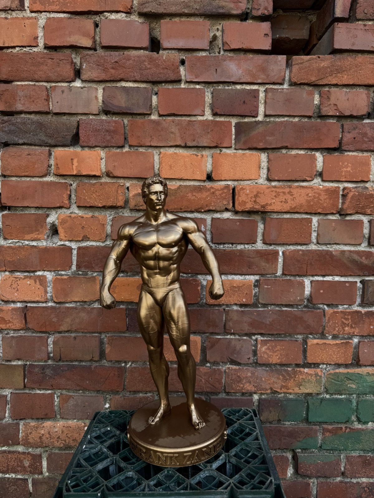 Other Gym statue Frank Zane Mr Olympia Bodybuilding 35cm Size ONE SIZE - 12 Thumbnail
