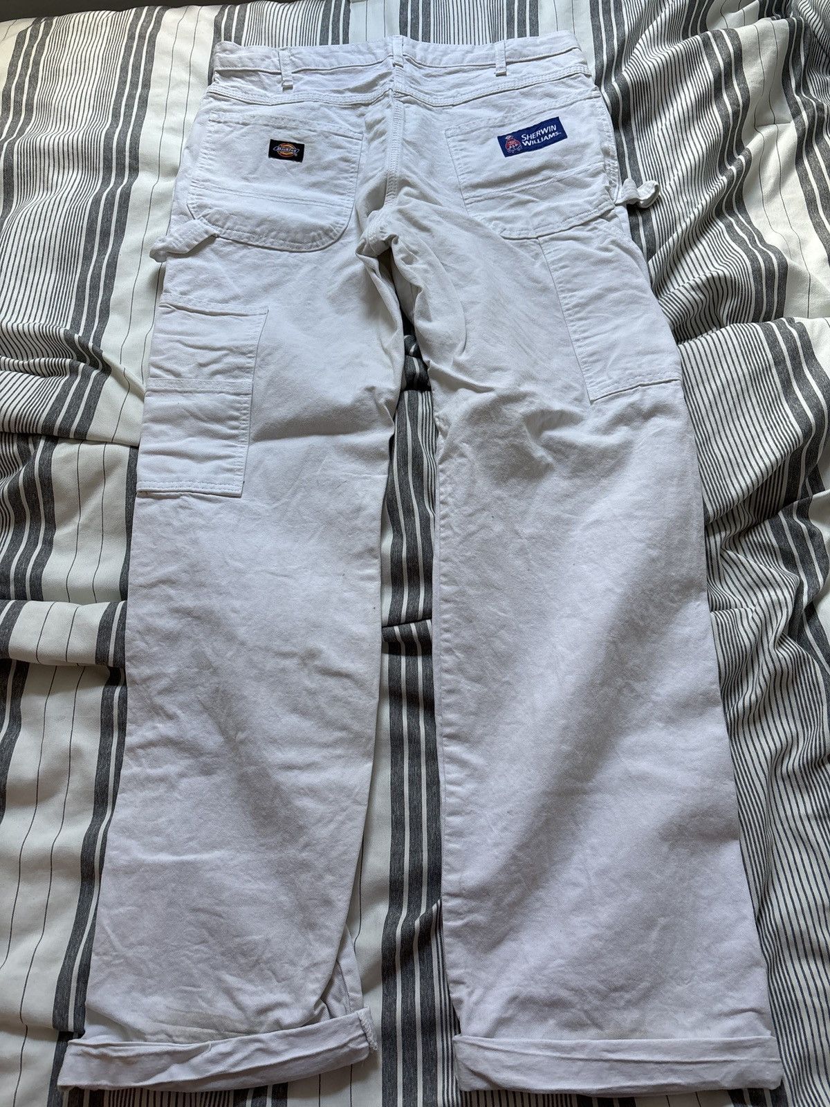 Dickies Dickies Sherwin Williams Size US 31 - 1 Thumbnail