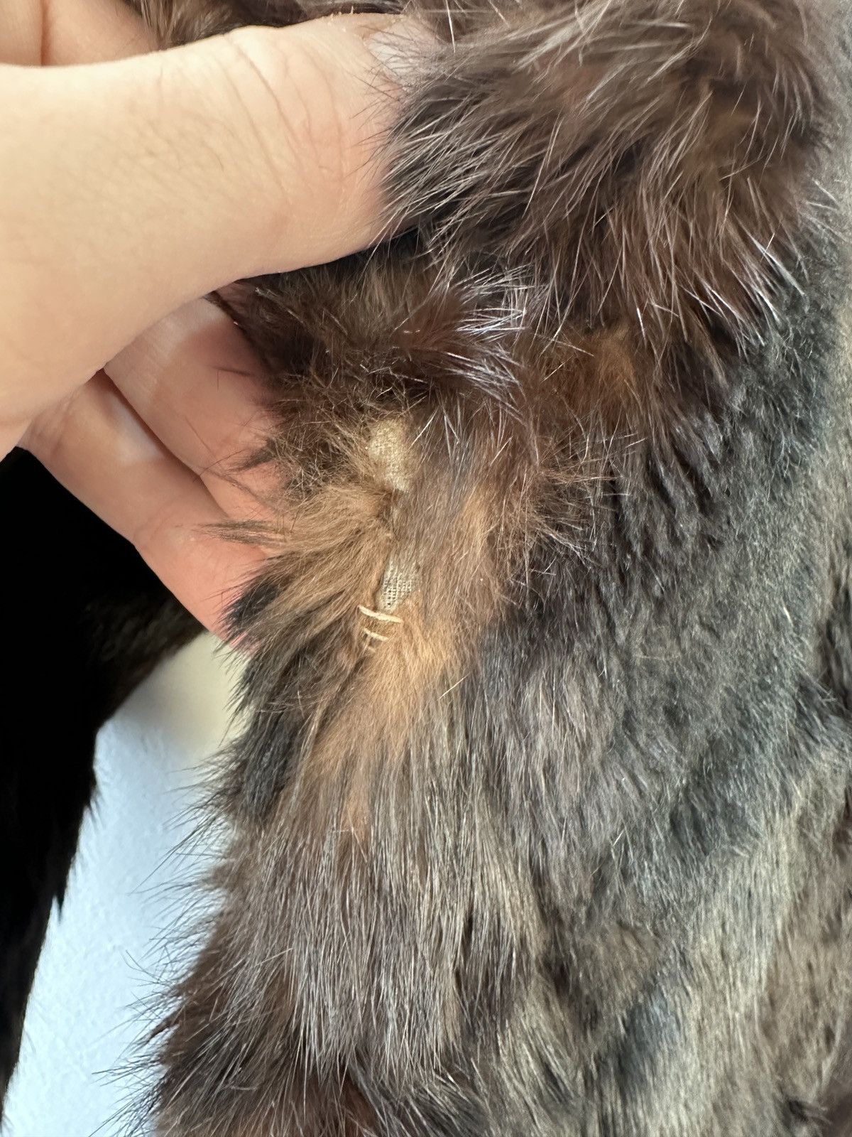 Other Genuine Rabbit Fur Coat 70s 80s Glam Boho Winter Jacket 14 Size L / US 10 / IT 46 - 14 Thumbnail