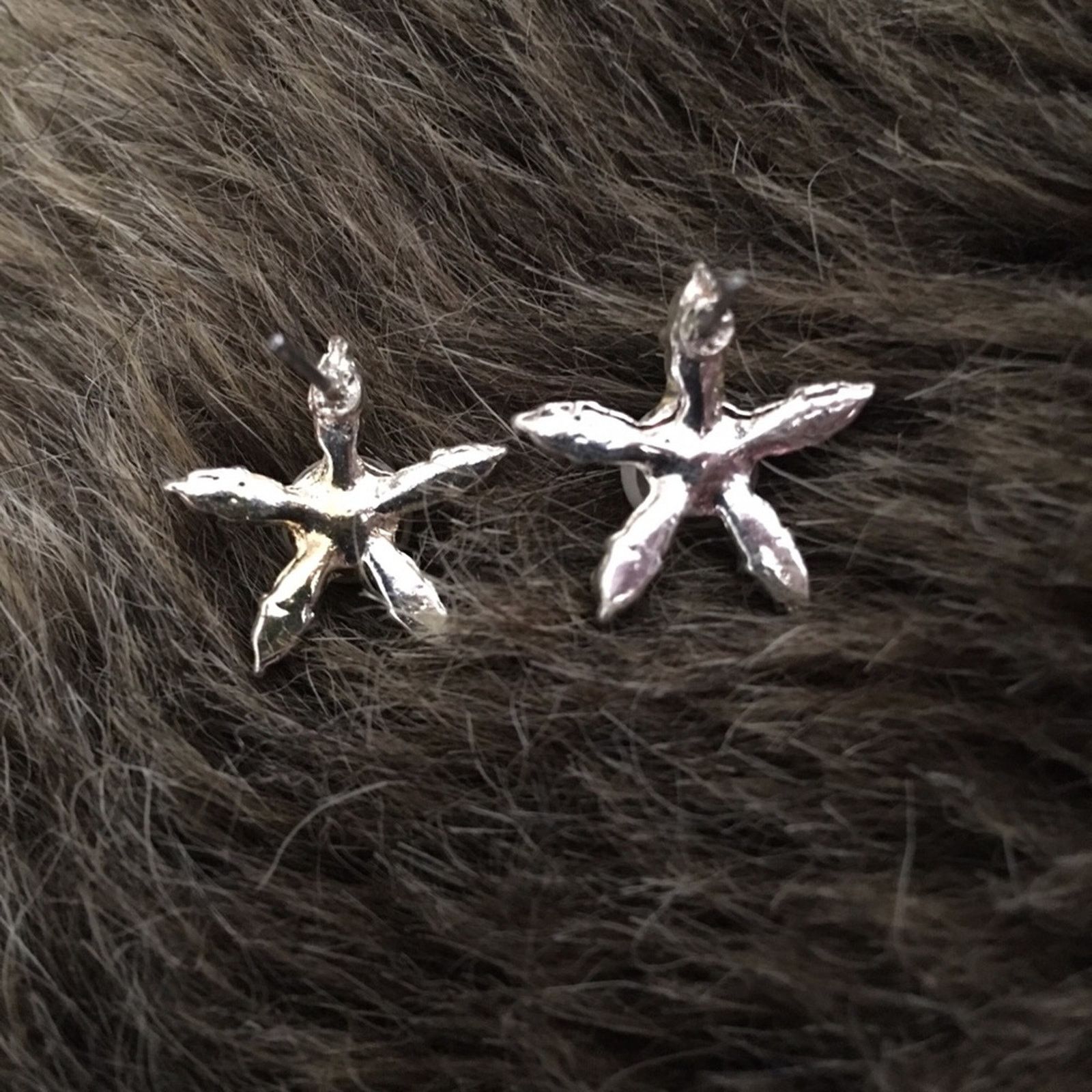 Jewelry Rhinestone and pearl starfish pierced earrings Size ONE SIZE - 3 Thumbnail