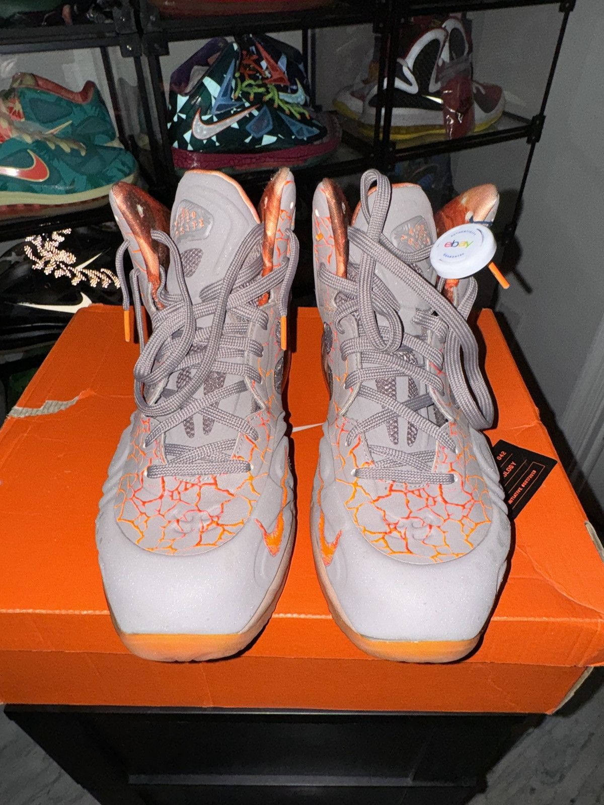 Nike Sneaker Nike 72 Nike Cortez '72 One Of A Kind One Of 3107