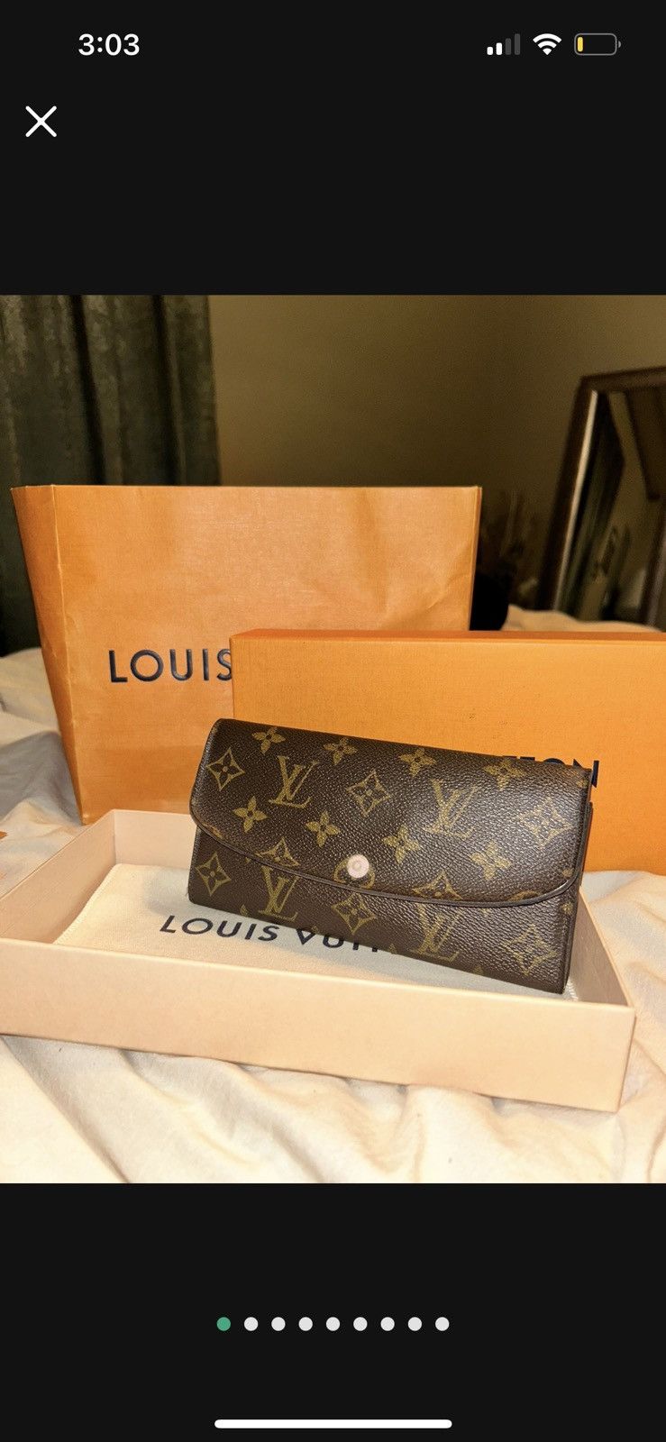 Louis Vuitton Louis Vuitton Wallet Size ONE SIZE - 7 Thumbnail