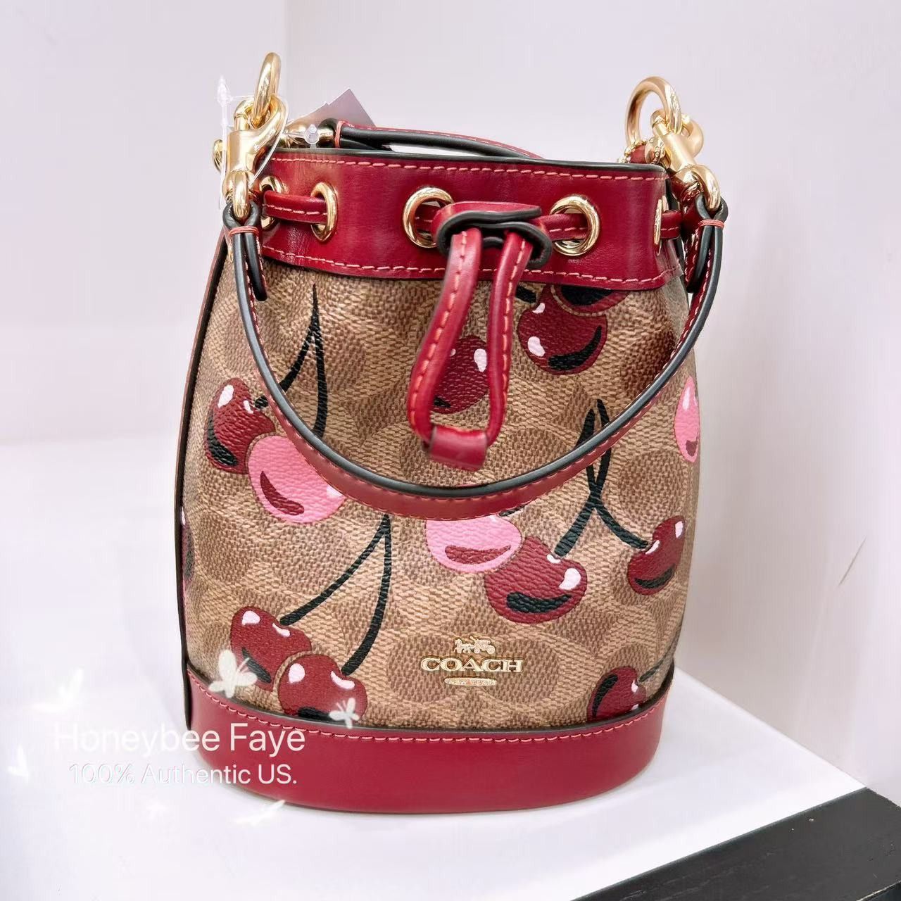 Coach 🍒 Mini Bucket Bag In Signature Canvas With Cherry CY738 Size ONE SIZE - 2 Thumbnail