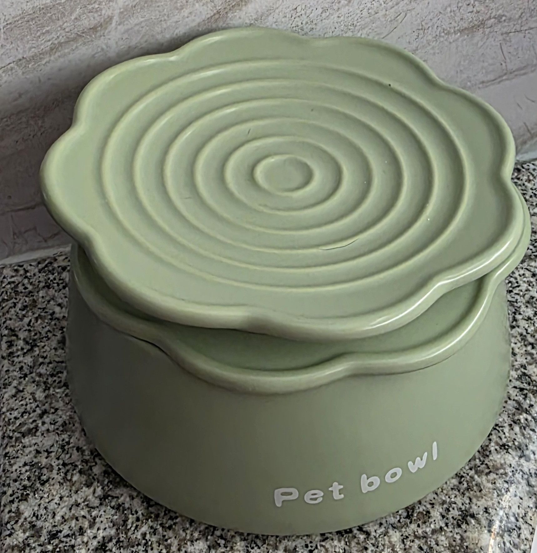Unknown London New PETTOM 3-in-1 Ceramic Cat Pet Bowls 350ml Green Size ONE SIZE - 3 Thumbnail