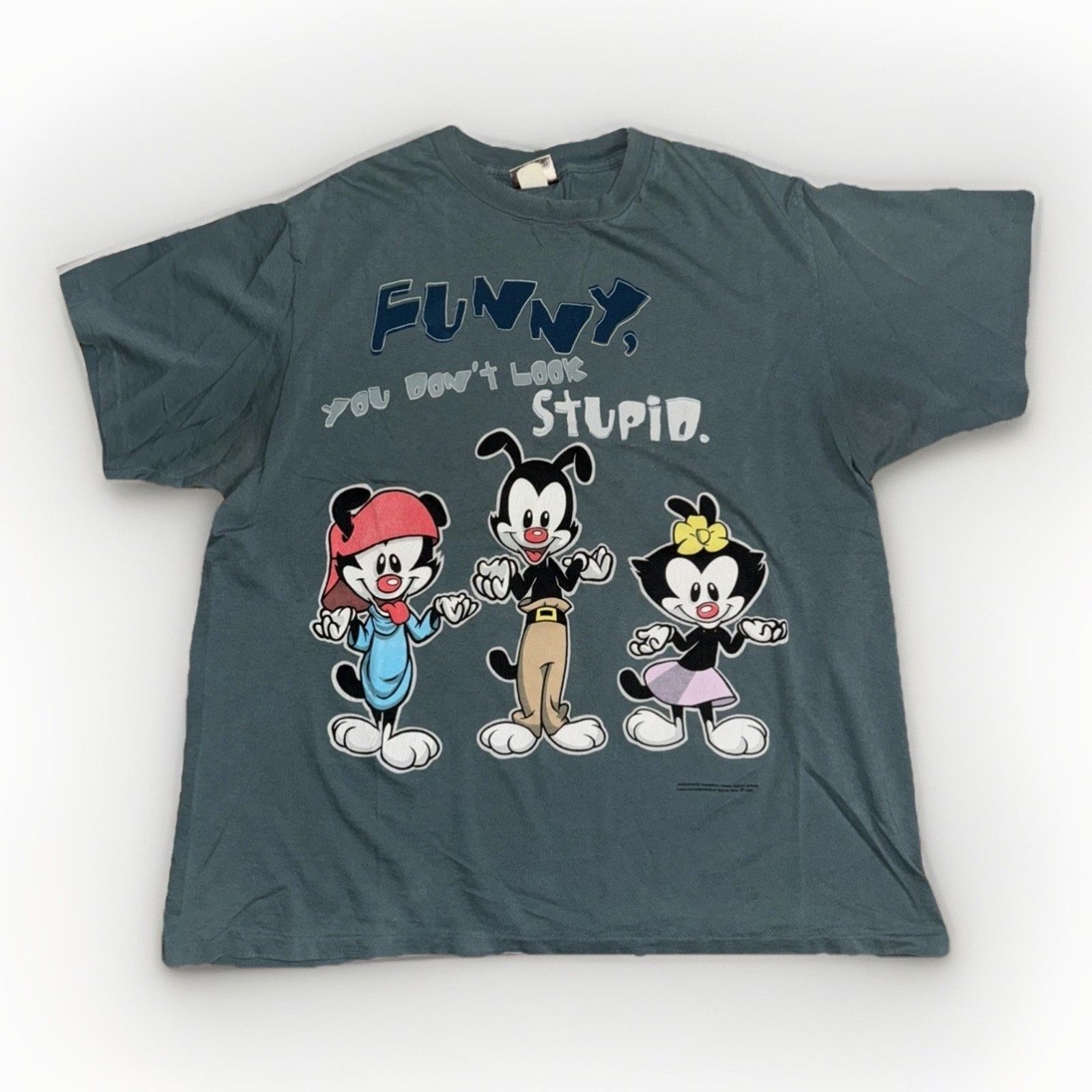 Vintage Vintage 1996 Animaniacs T-Shirt XL Blue Single Stitch USA Size US XL / EU 56 / 4 - 1 Thumbnail