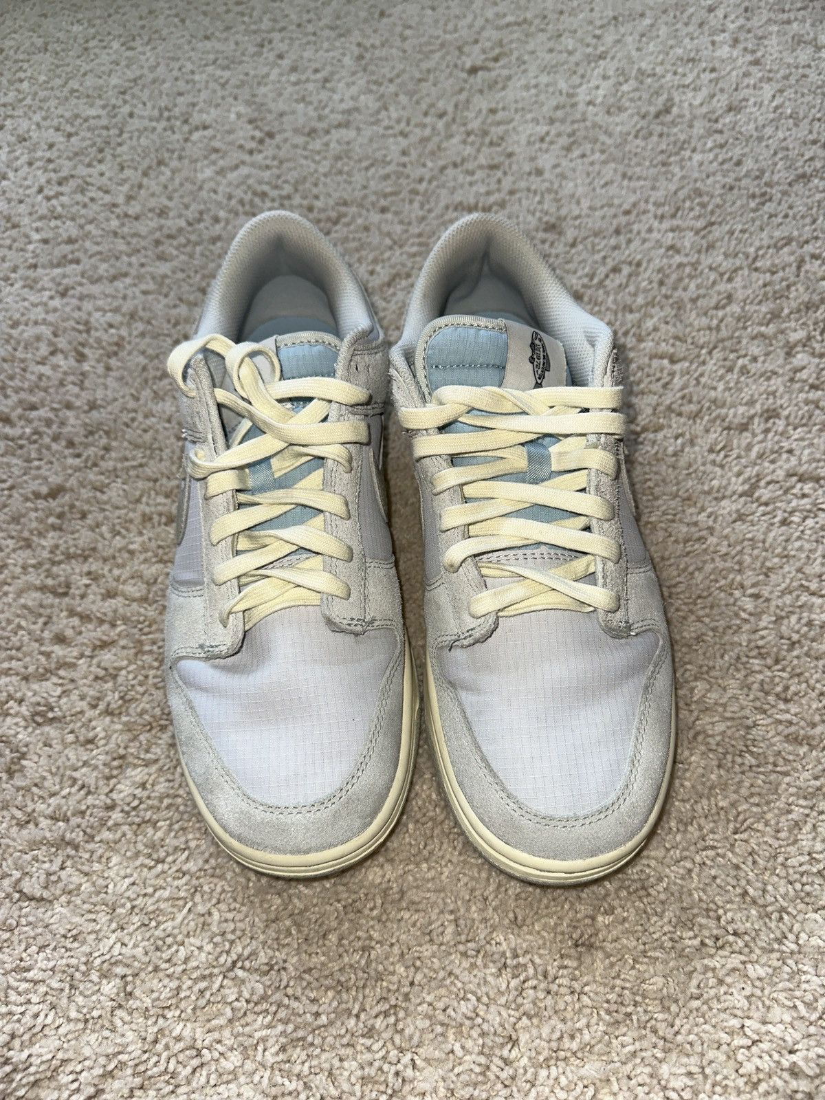 Nike dunks beaverton fish