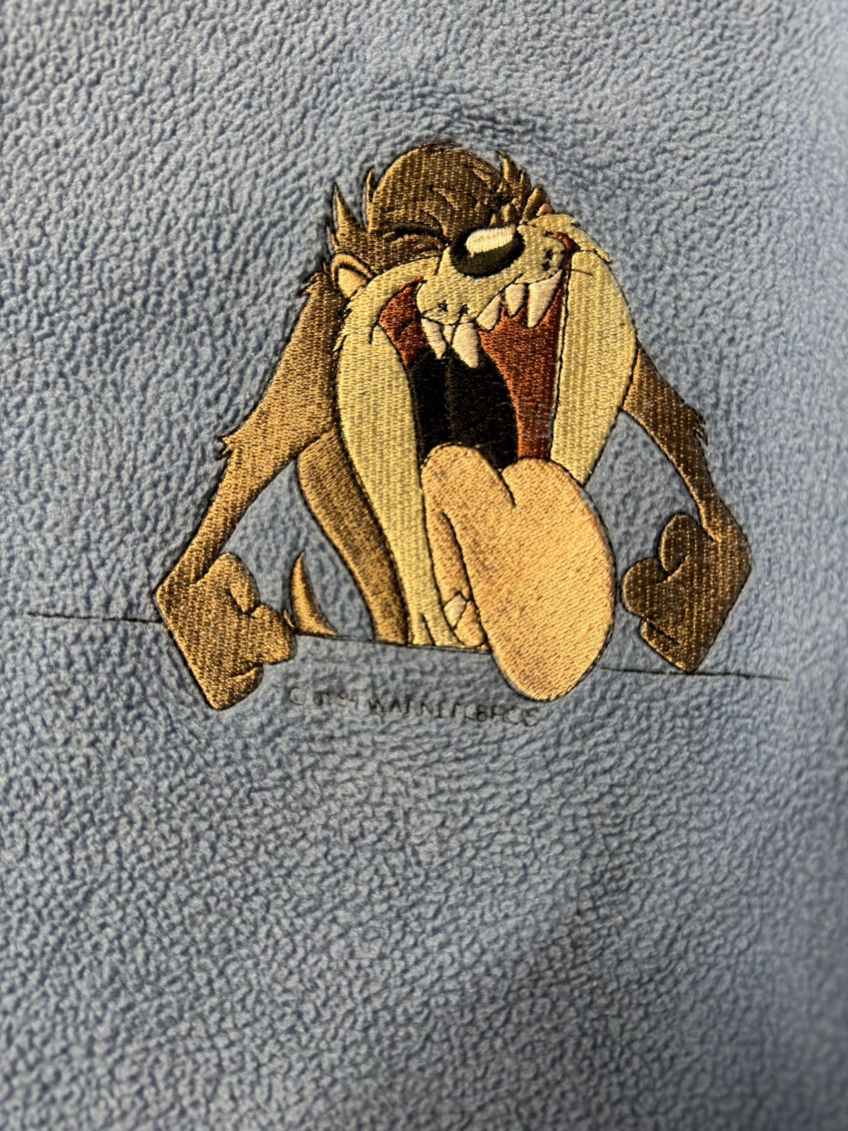 Warner Bros WARNER BROS Taz Fleece 1994 Size US XL / EU 56 / 4 - 5 Thumbnail