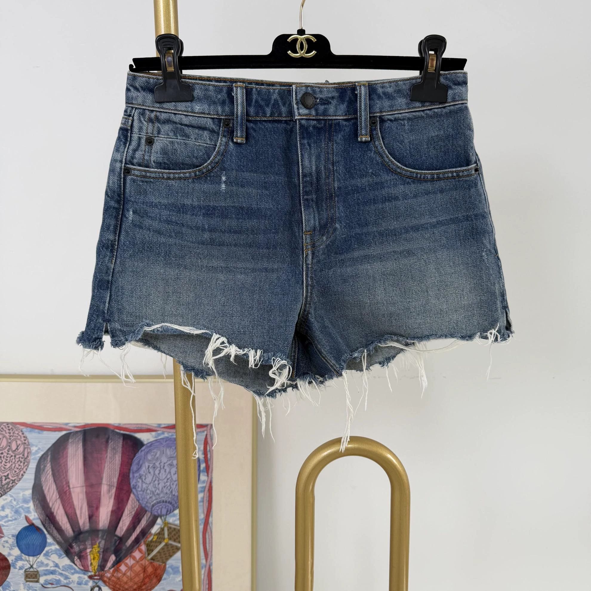 Alexander Wang Alexander Wang Blue Shorts 25 Size 25" / US 0 / IT 36 - 1 Thumbnail