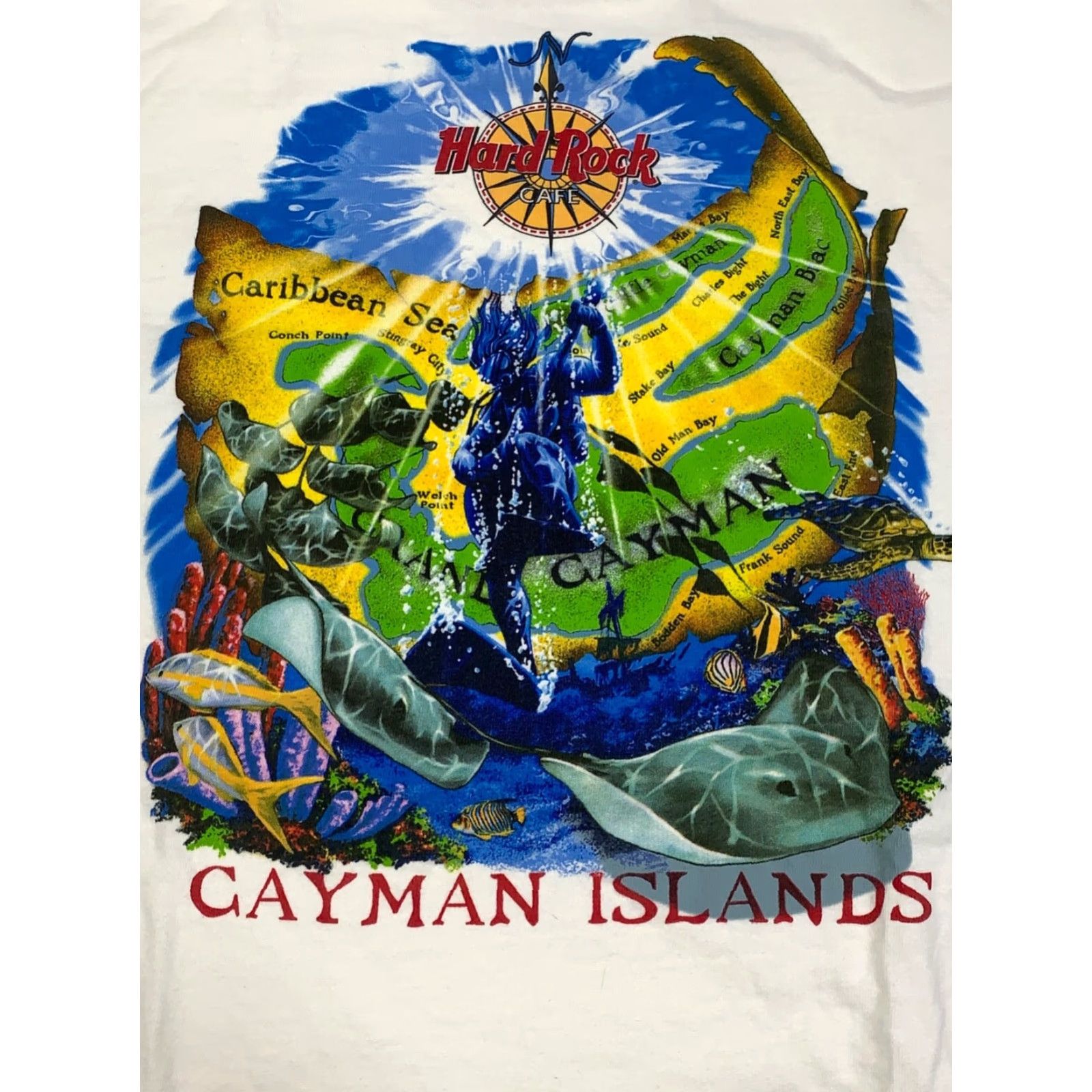 Hard Rock Cafe VINTAGE Hard Rock Cafe Heavy Tee Mens XL White Cayman Islands Ocean Fish 11191 Shirt Mens XL White Ocean Fish 90s Size US XL / EU 56 / 4 - 2 Thumbnail