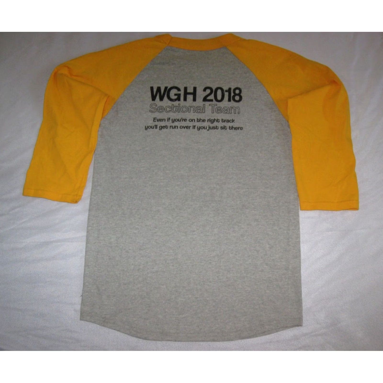 Champion Champion Warren Harding Raiders Swimming & Diving Raglan Shirt Adult Small Gray 3/4 Sleeve T-Shirt (WGH) Mens Size US S / EU 44-46 / 1 - 4 Thumbnail
