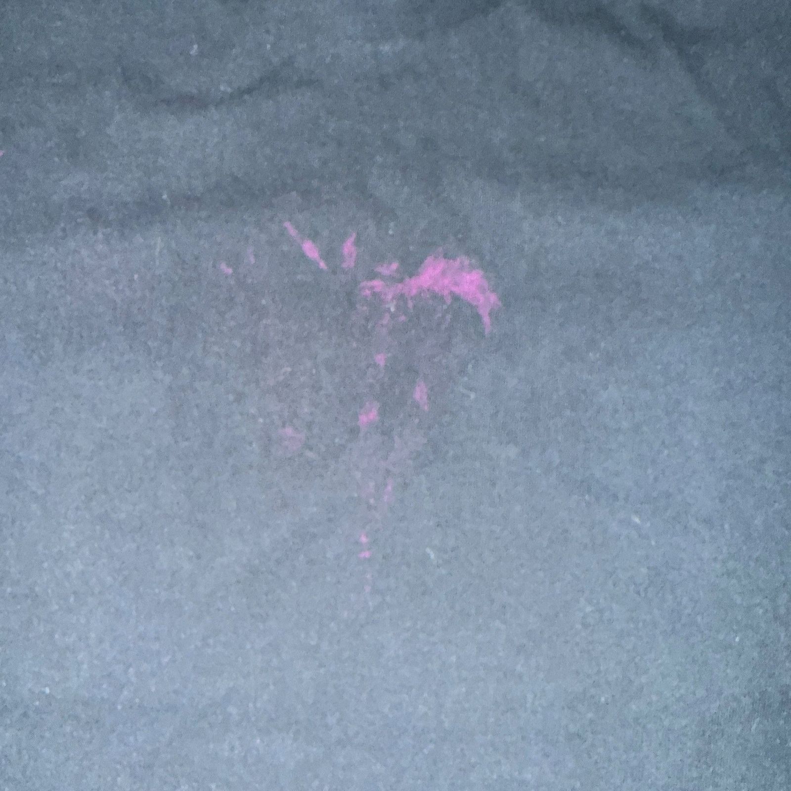 Other Desolate NY Metalcore Band Pink Logo T-Shirt Size XL Size US XL / EU 56 / 4 - 6 Thumbnail