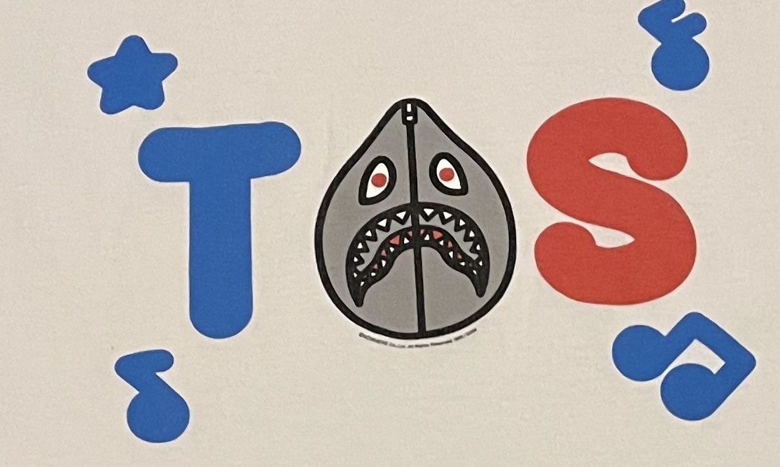 Bape Bape Teriyaki Boyz tee shirt Size US L / EU 52-54 / 3 - 3 Thumbnail