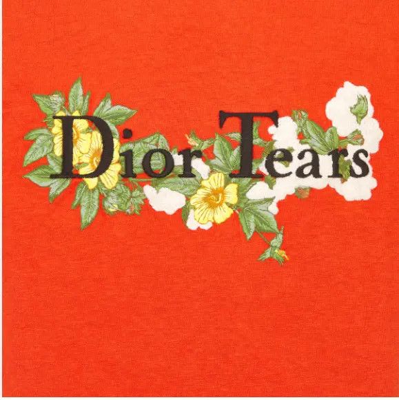 DENIM TEARS × Dior o1w1db10824 Relaxed Fit T-Shirt in Red Size US XXL / EU 58 / 5 - 3 Thumbnail