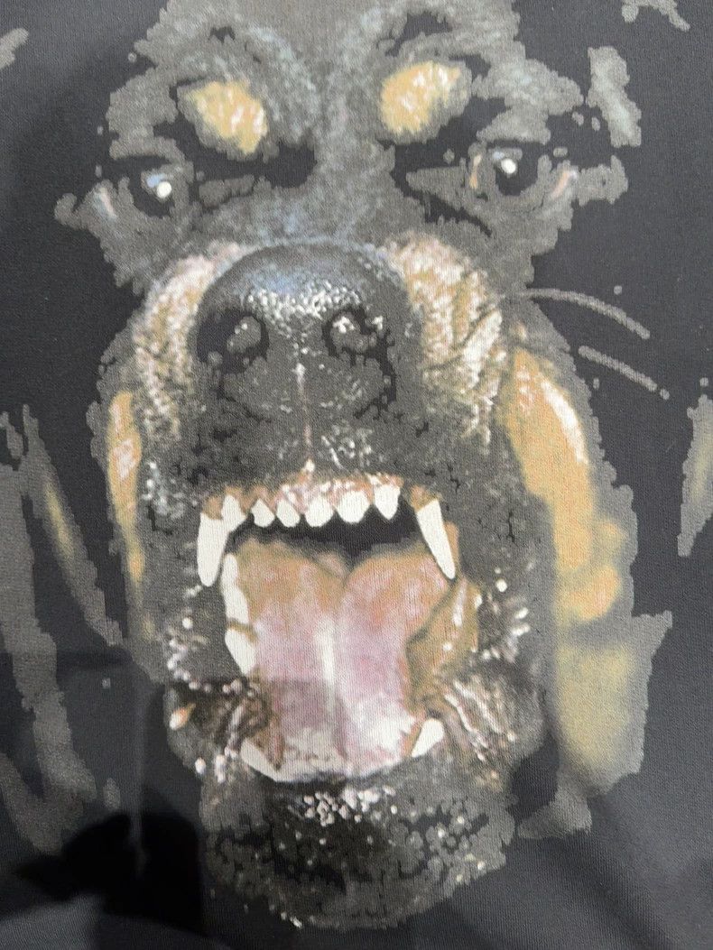 Givenchy Givenchy Dog Head Sweatshirt Size US S / EU 44-46 / 1 - 3 Thumbnail