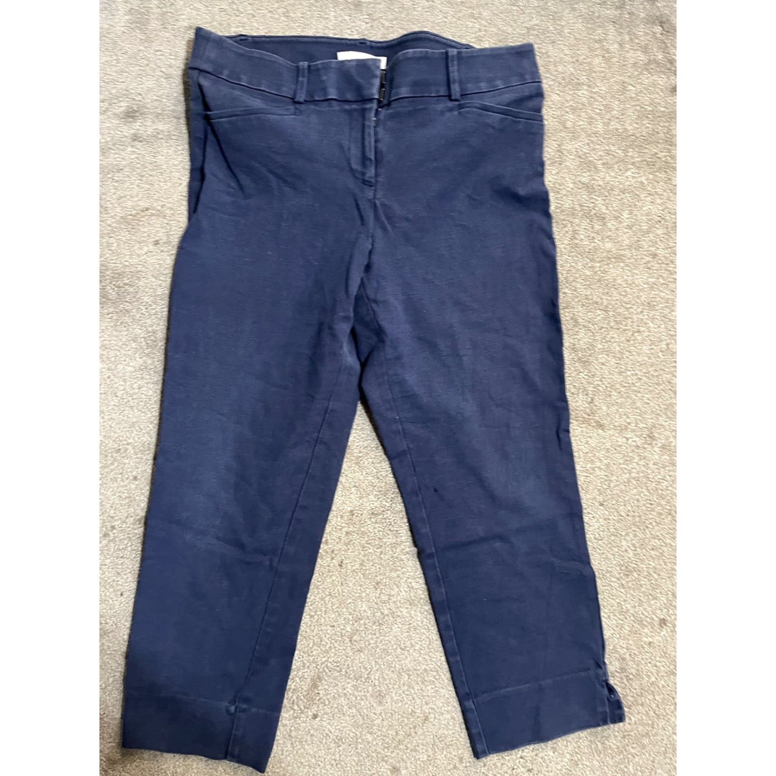 Ann Taylor VINTAGE Ladies Ann Taylor LOFT Marisa The Riviera Pant Chino Pants Size 10P Blue Size 32" / US 10 / IT 46 - 2 Thumbnail