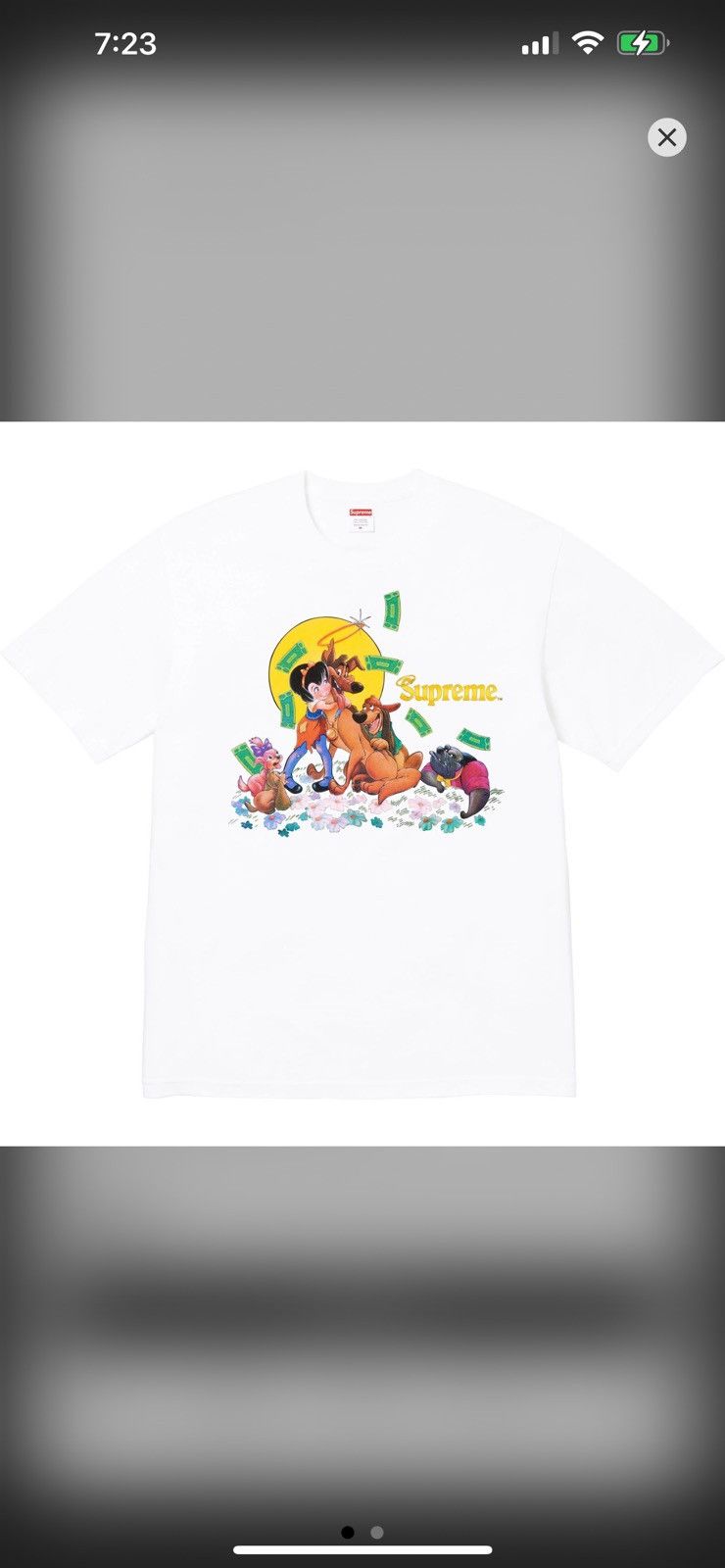Supreme Supreme All Dogs Go To Heaven Size US S / EU 44-46 / 1 - 1 Thumbnail