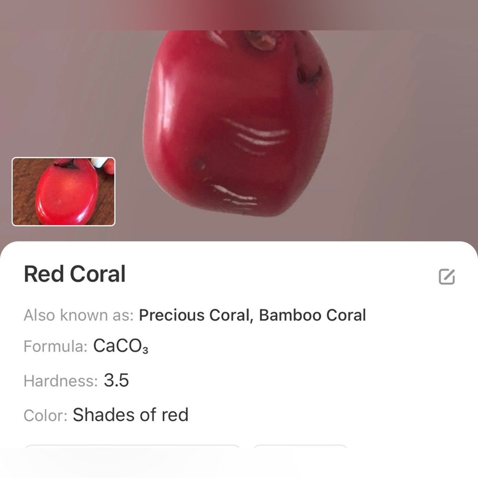 Handmade Handcrafted red coral green chalcedony pearl necklace Size ONE SIZE - 13 Thumbnail