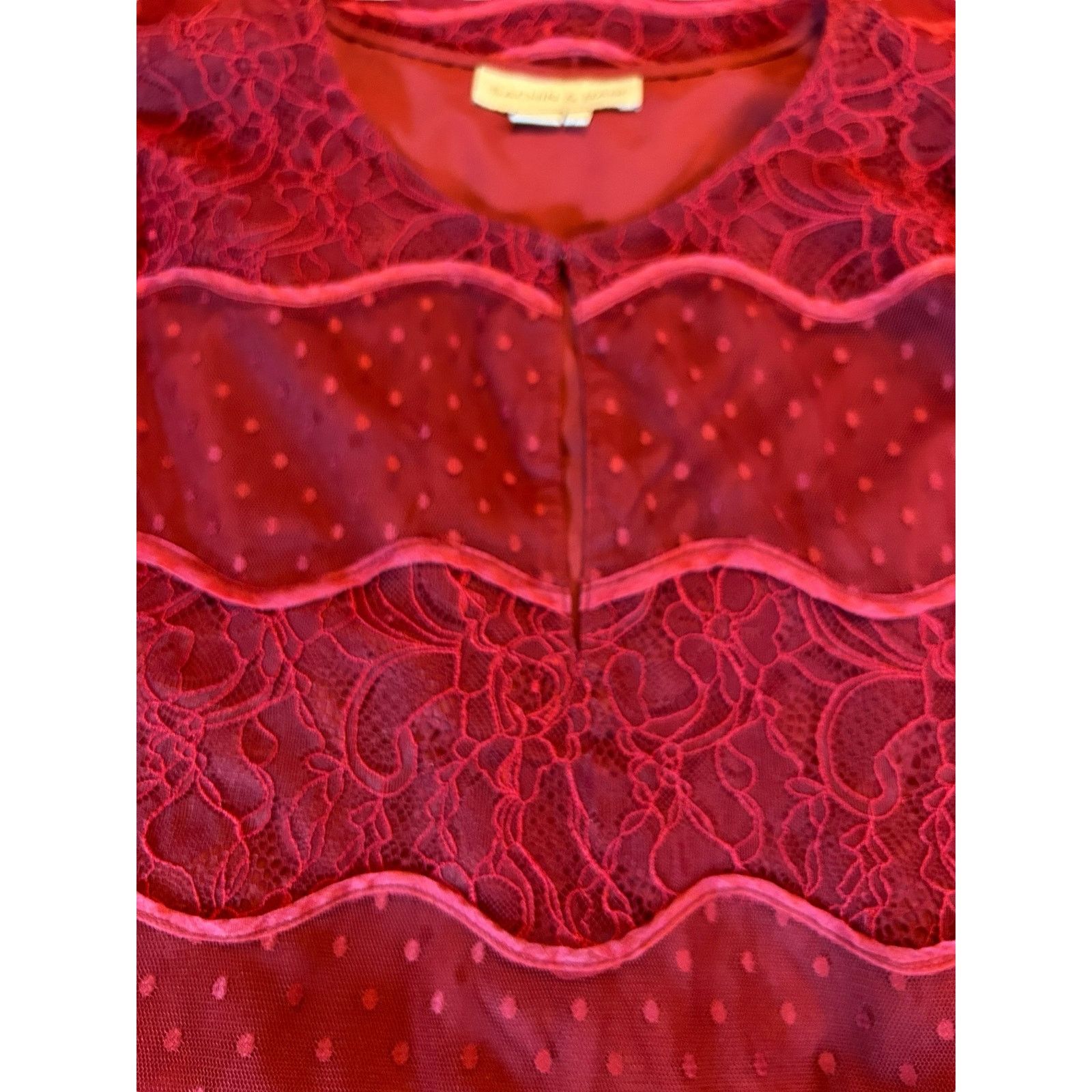 Sachin & Babi Sachin & Babi Red Lace Dress - Size 6 Size M / US 6-8 / IT 42-44 - 11 Thumbnail