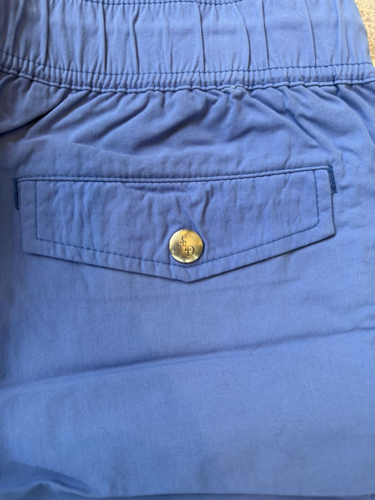 Aime Leon Dore Blue nylon shorts. Core collection Size US 29 - 5 Thumbnail