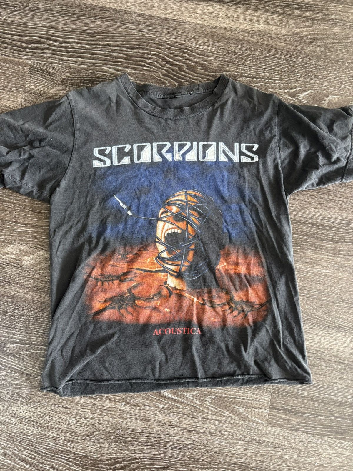 Scorpions vintage faded band tee