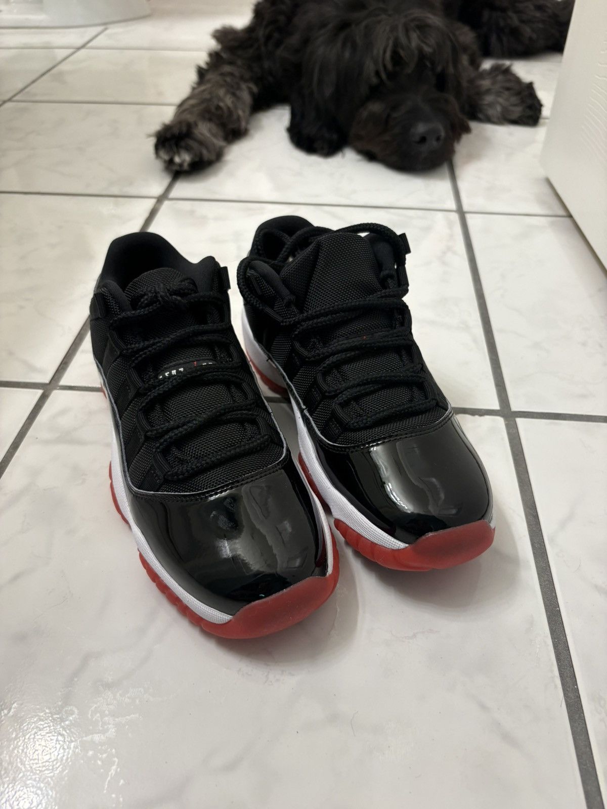 Nike Size 6 Jordan 11 Retro Low Bred Size US 6 / EU 39 - 5 Thumbnail