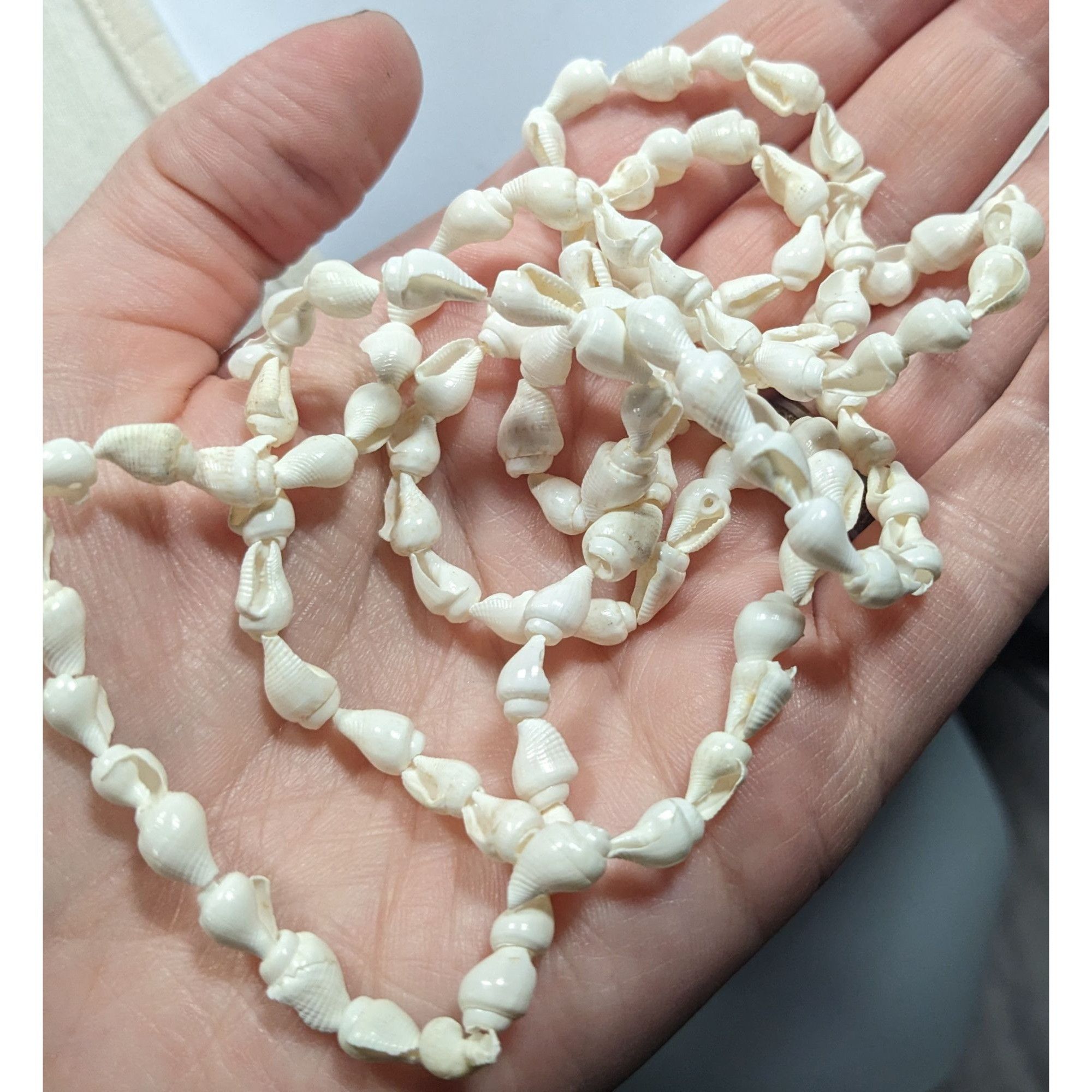 Other Beachy Mermaidcore Small white Seashell Necklace Size ONE SIZE - 3 Thumbnail