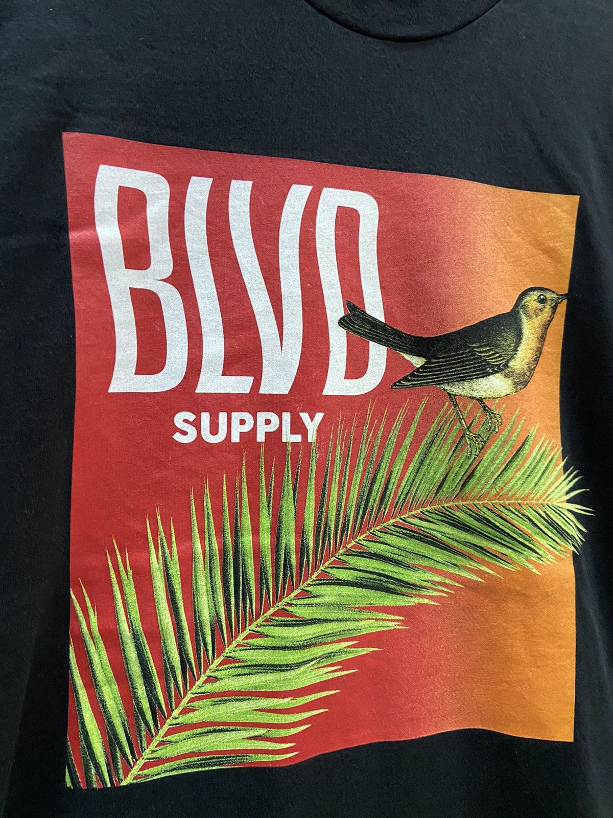 BLVD BLVD SUPPLY BIRD SHORT SLEEVE TEE SHIRT Size US L / EU 52-54 / 3 - 4 Thumbnail