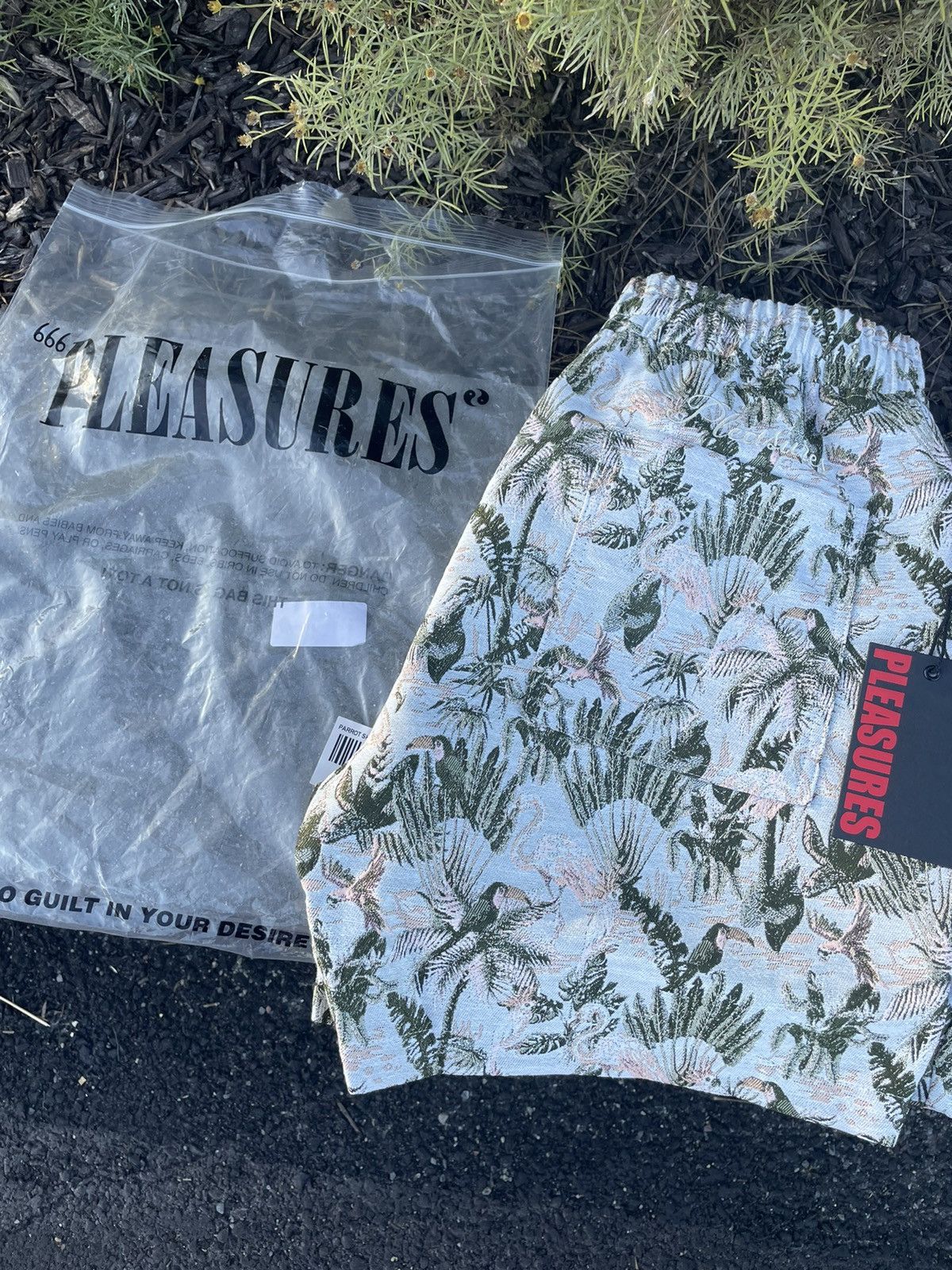 Pleasures Pleasures Bird Shorts Size US 32 / EU 48 - 4 Thumbnail