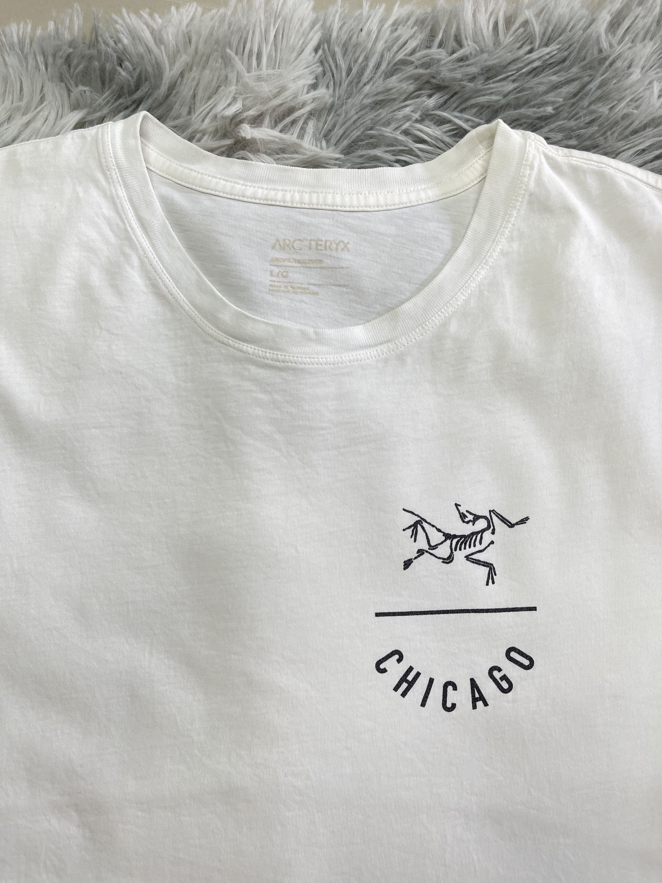 Arc'teryx Arc'Teryx T shirt Size US L / EU 52-54 / 3 - 2 Thumbnail