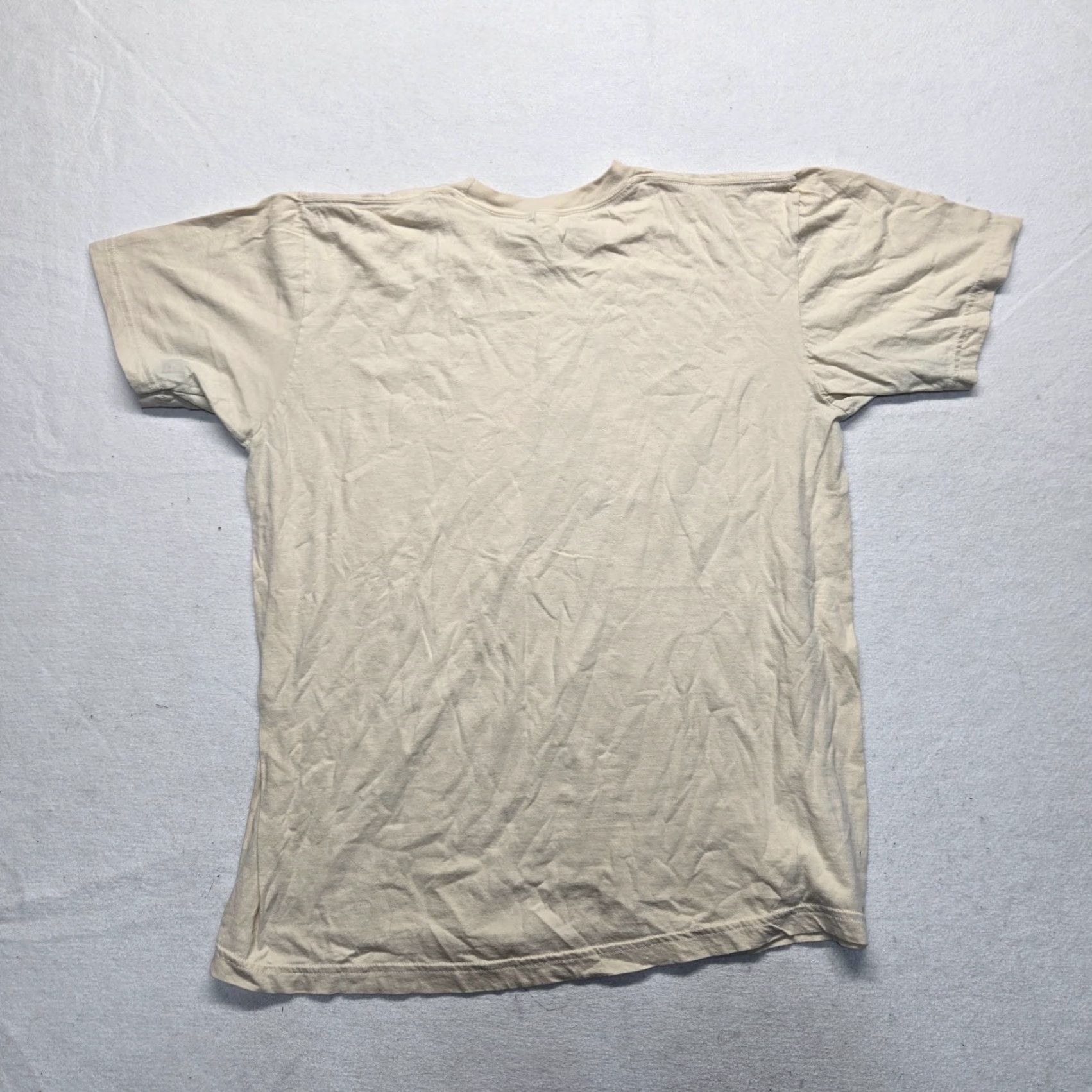American Apparel VINTAGE American Apparel T-Shirt Short Sleeve Women's Large Brown Casual Spring Fall 2020s Size L / US 10 / IT 46 - 8 Thumbnail