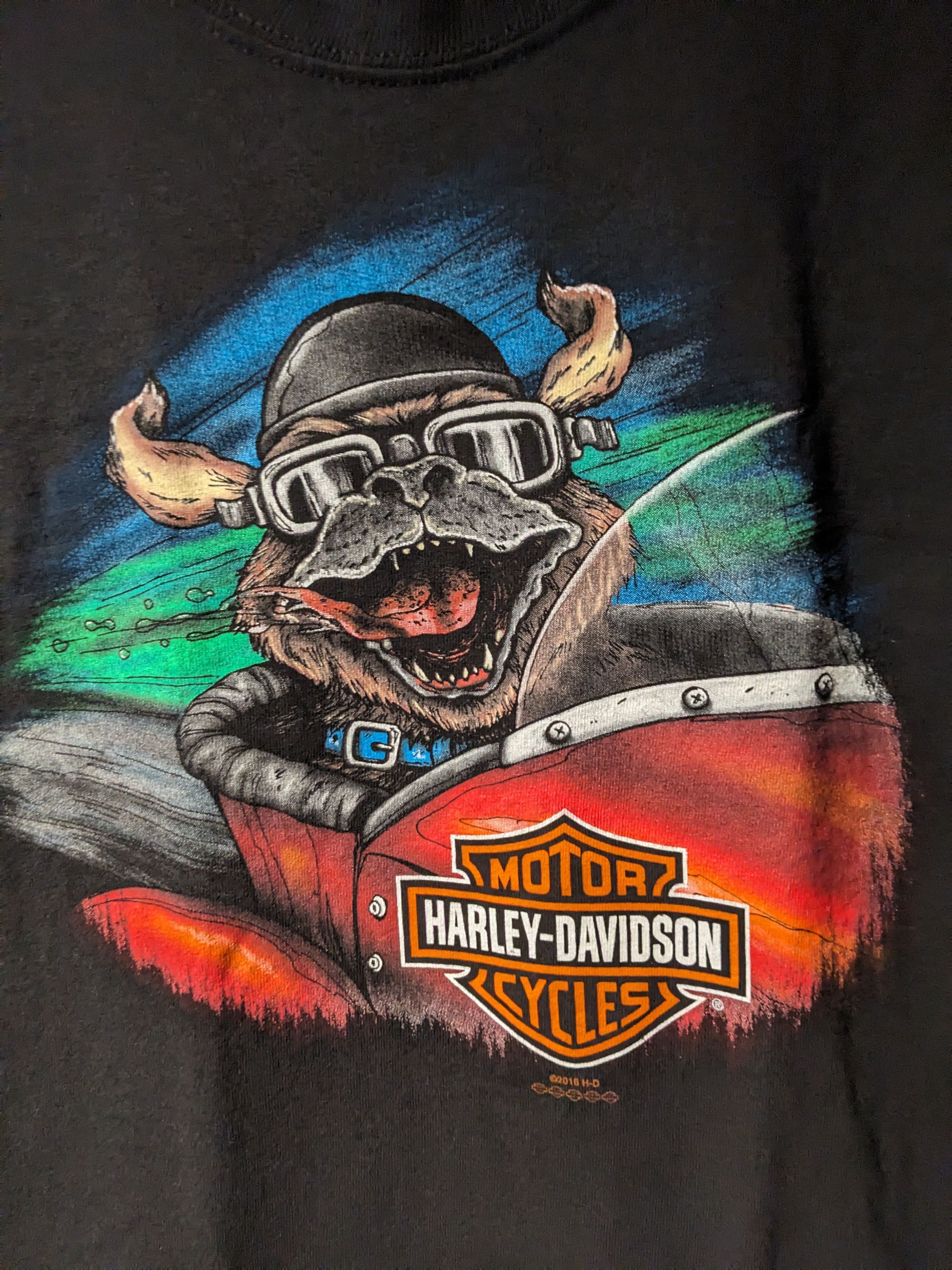 Harley Davidson Vintage 2016 Harley Davidson OX Motorcycle Kids T-Shirt Size US L / EU 52-54 / 3 - 2 Thumbnail