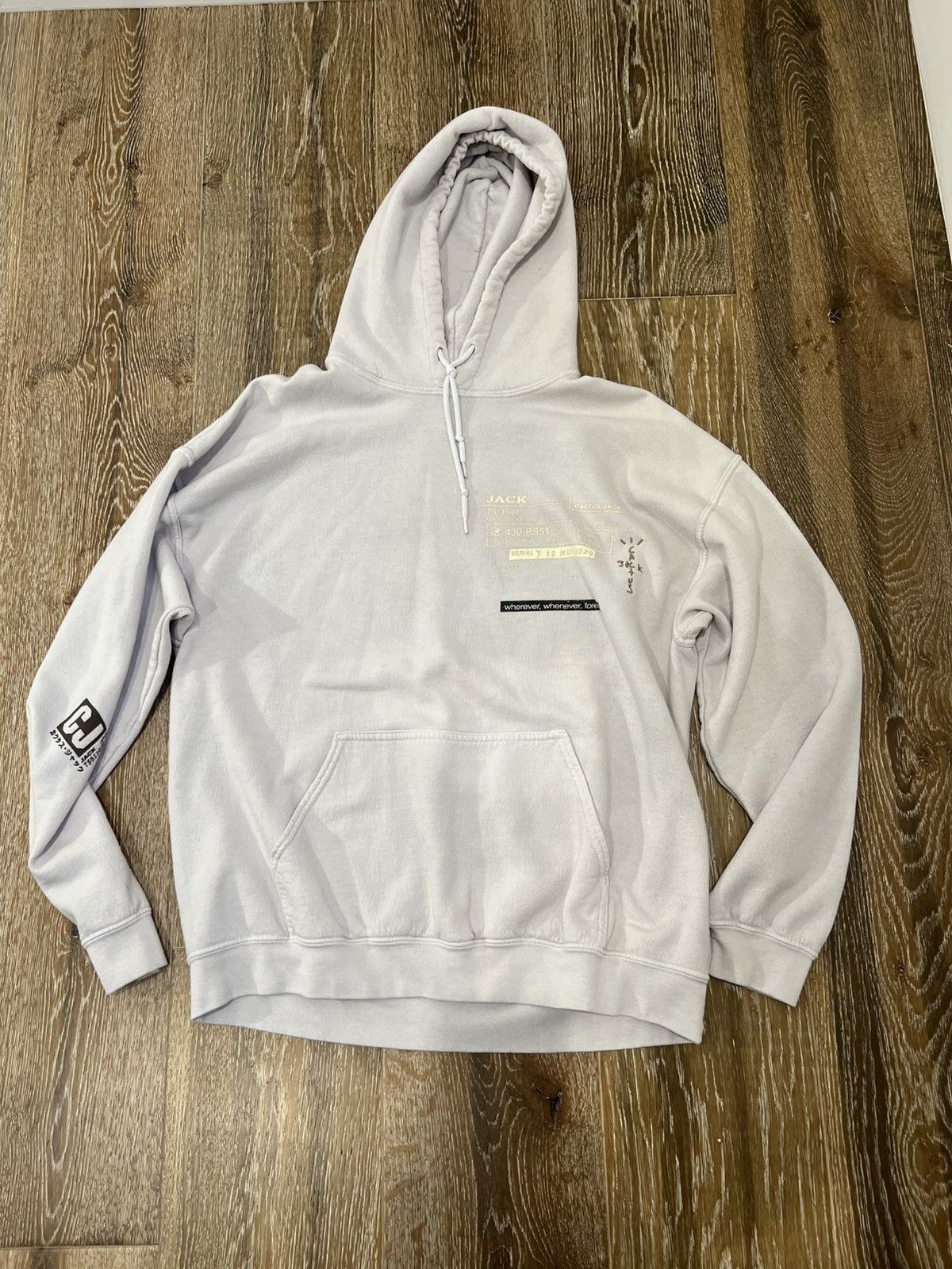 Travis Scott Travis Scott Cactus Jack Cyber Girl Hoodie Size US M / EU 48-50 / 2 - 2 Thumbnail