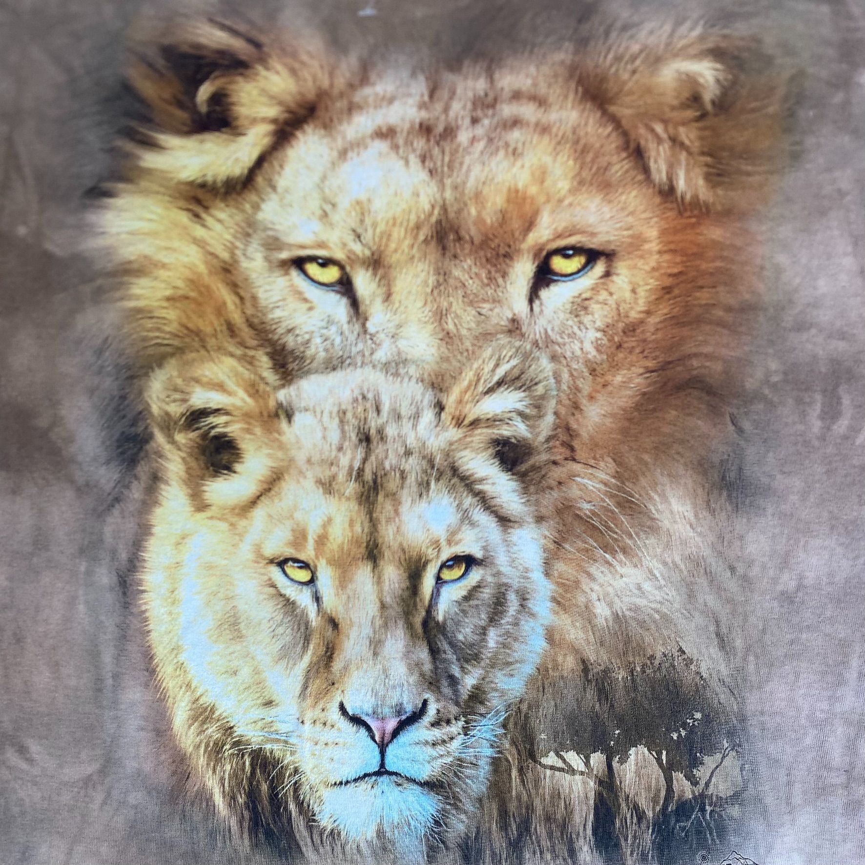 The Mountain Vintage Y2K Lions Nature Shirt Animal The Mountain Tan Tee Size US M / EU 48-50 / 2 - 2 Thumbnail