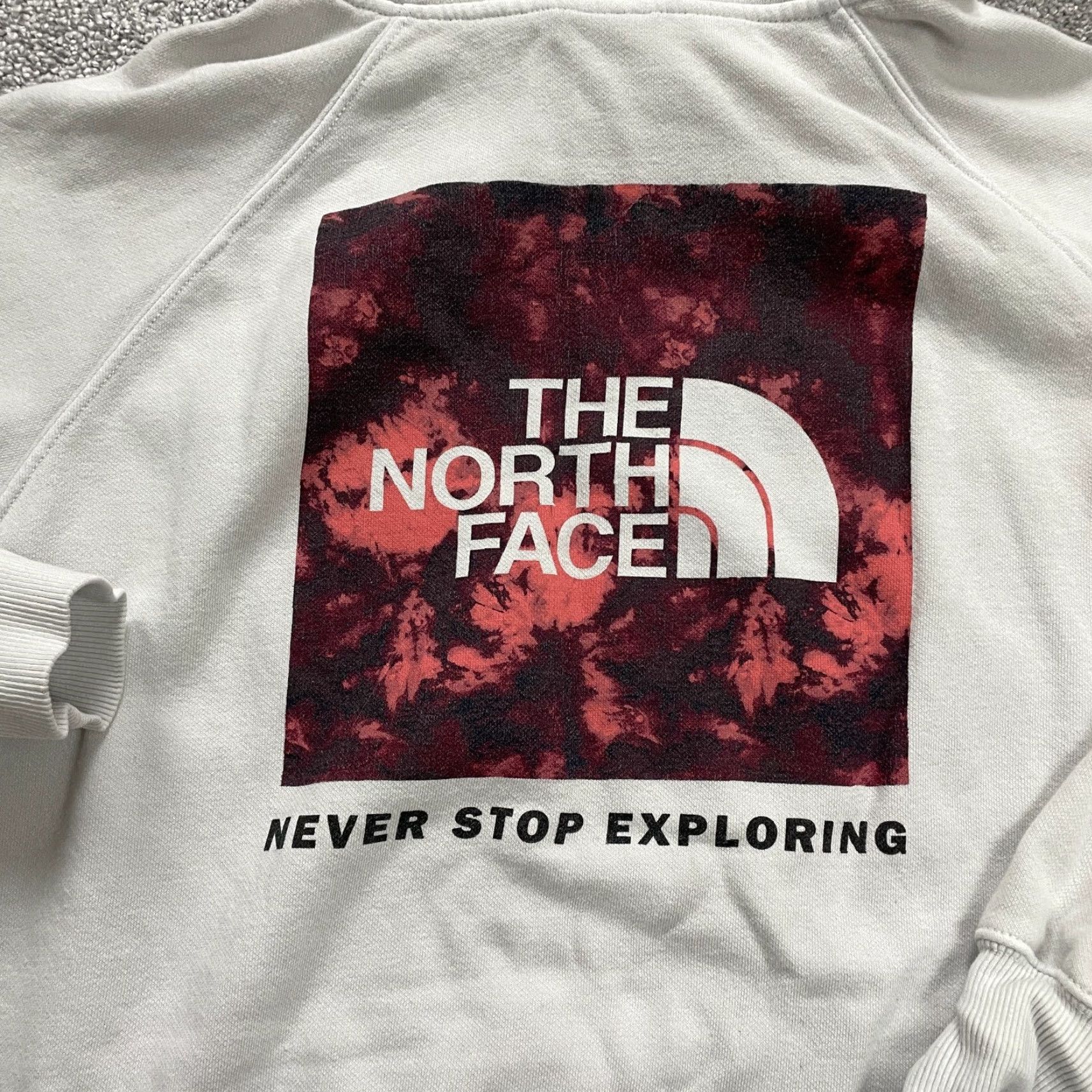 The North Face The North Face Womens Hoodie Sweatshirt Gray Pullover Graphic Logo All Seasons Regular L Shirt? Size L / US 10 / IT 46 - 4 Thumbnail