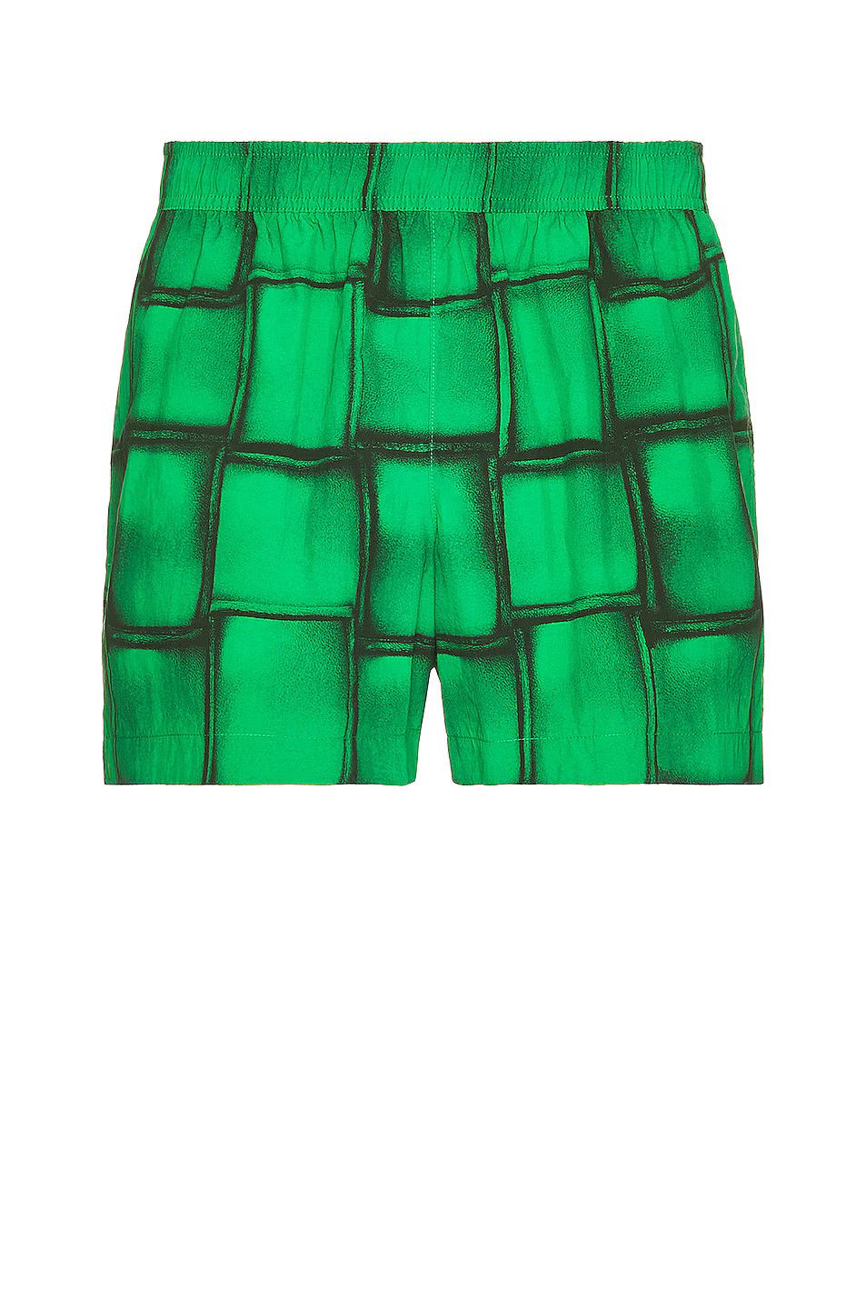 o1w1db10724 Swim Shorts in Parakeet & Black