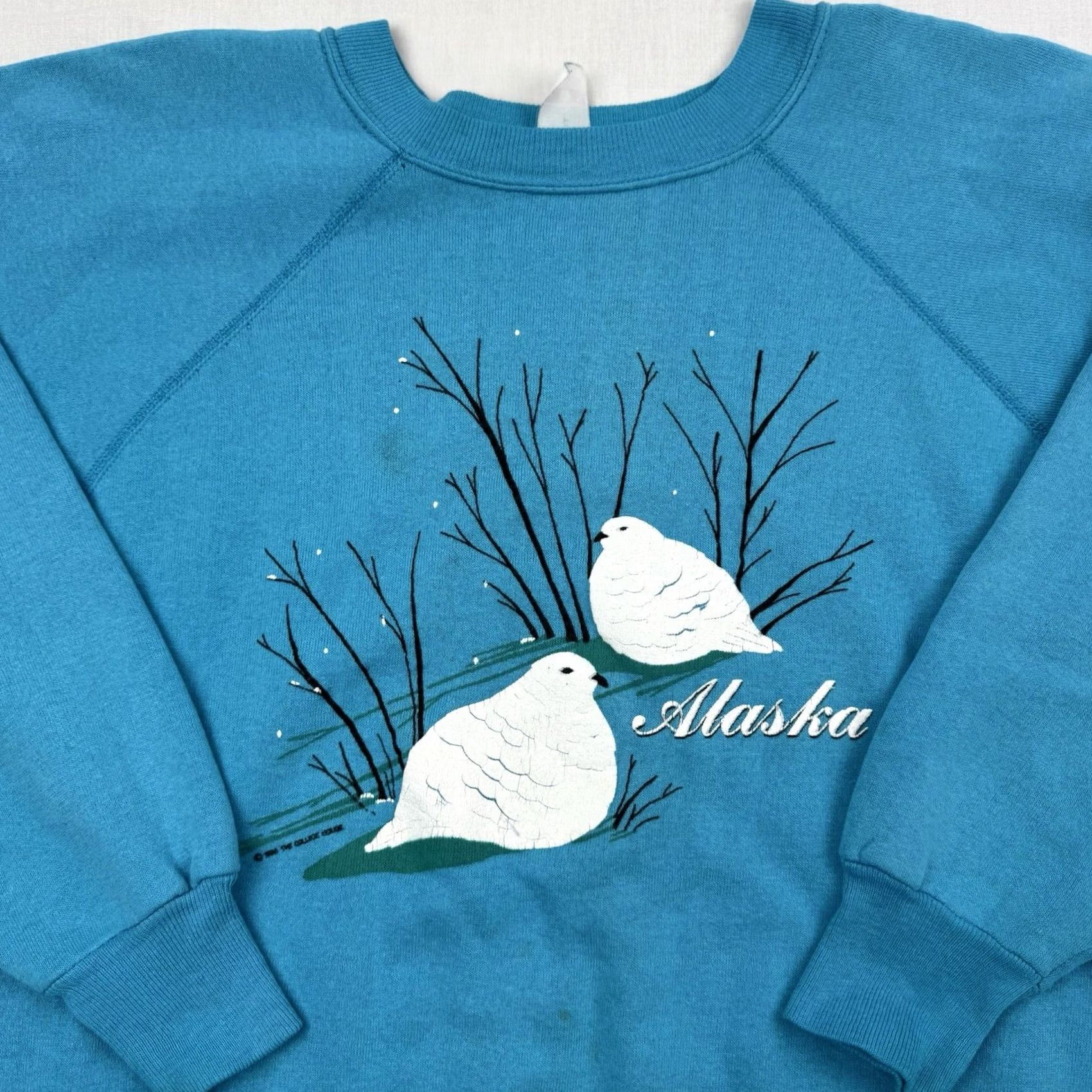 Vintage VINTAGE Alaska Doves Nature Sweatshirt Mens Adult Medium Blue 80s Raglan Cotton Blend Pullover Night? Size US M / EU 48-50 / 2 - 2 Thumbnail