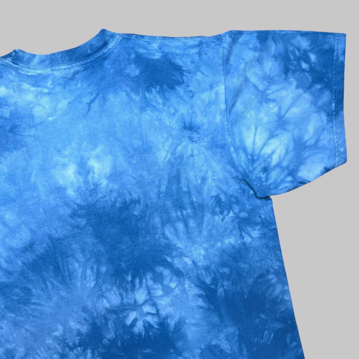 The Mountain × Vintage Vintage 2001 Brown Bears Nature The Mountain Graphic Tee Size US M / EU 48-50 / 2 - 10 Thumbnail