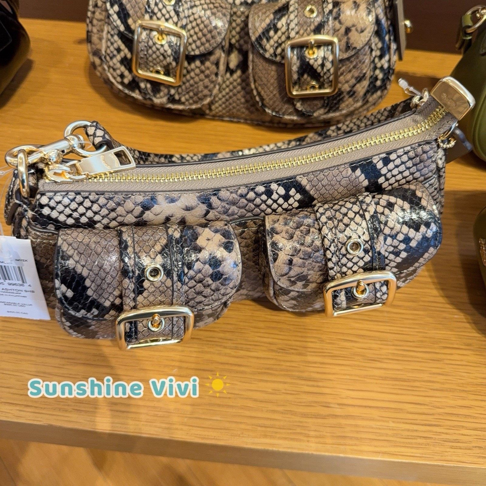Coach NWT Coach Ashton Bag Snake Leather CCE38 Mushroom Multi Size ONE SIZE - 4 Thumbnail