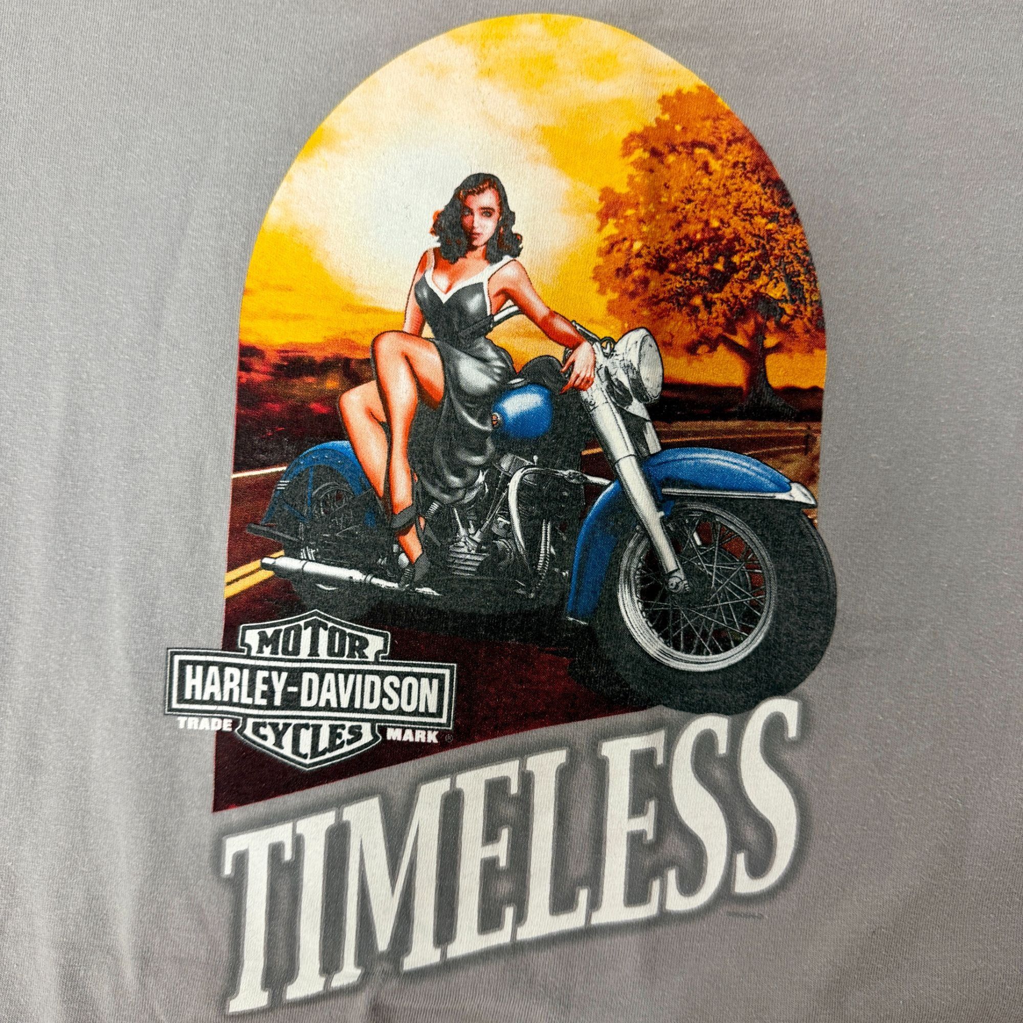 Harley Davidson TIMELESS Fort Worth Texas PINUP GIRL Motorcycle Biker Shirt Size US XXL / EU 58 / 5 - 4 Thumbnail