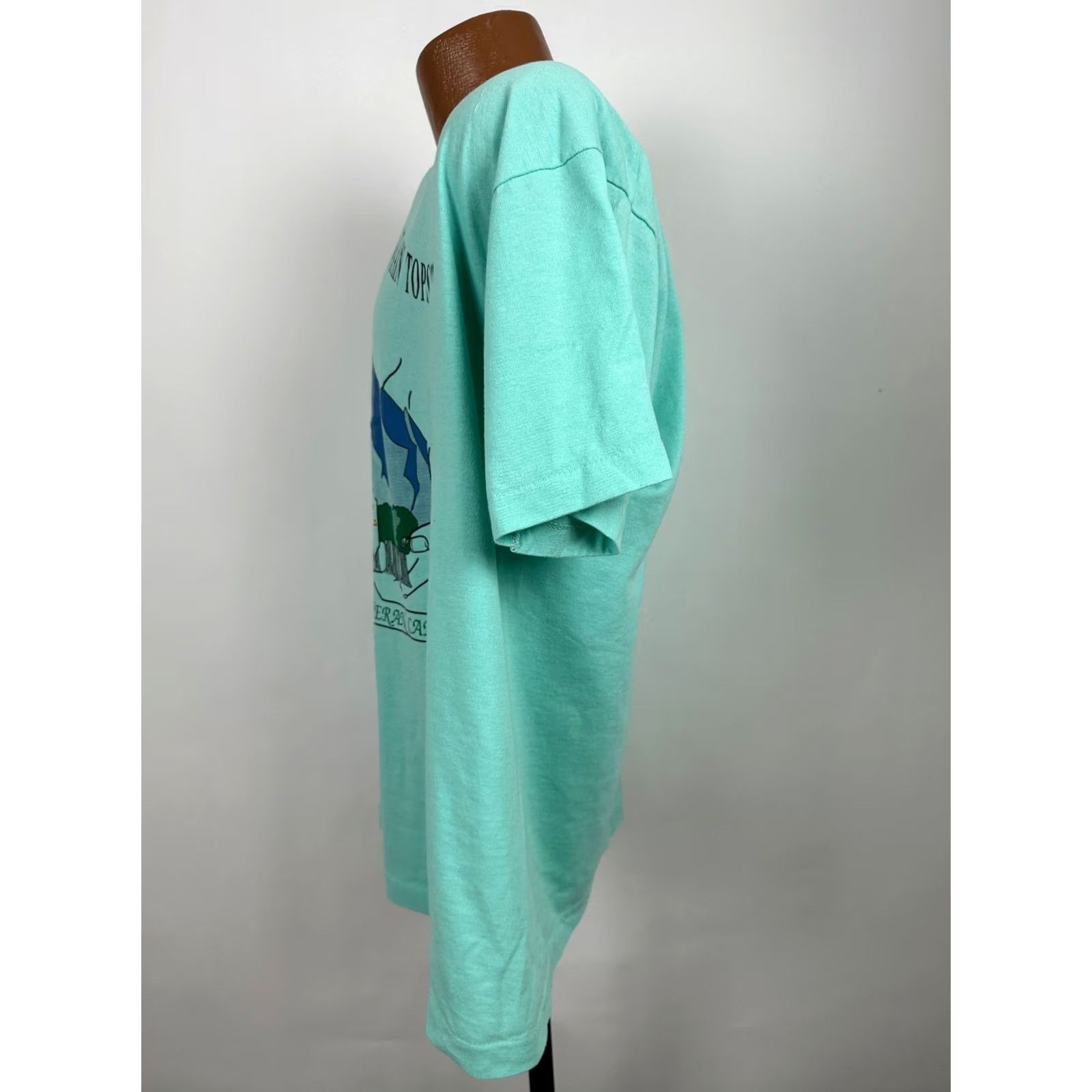 Fruit Of The Loom VINTAGE 90s Lutheran Christian Shirt XL God Upon Mountain Tops Nature USA Size US XL / EU 56 / 4 - 6 Thumbnail