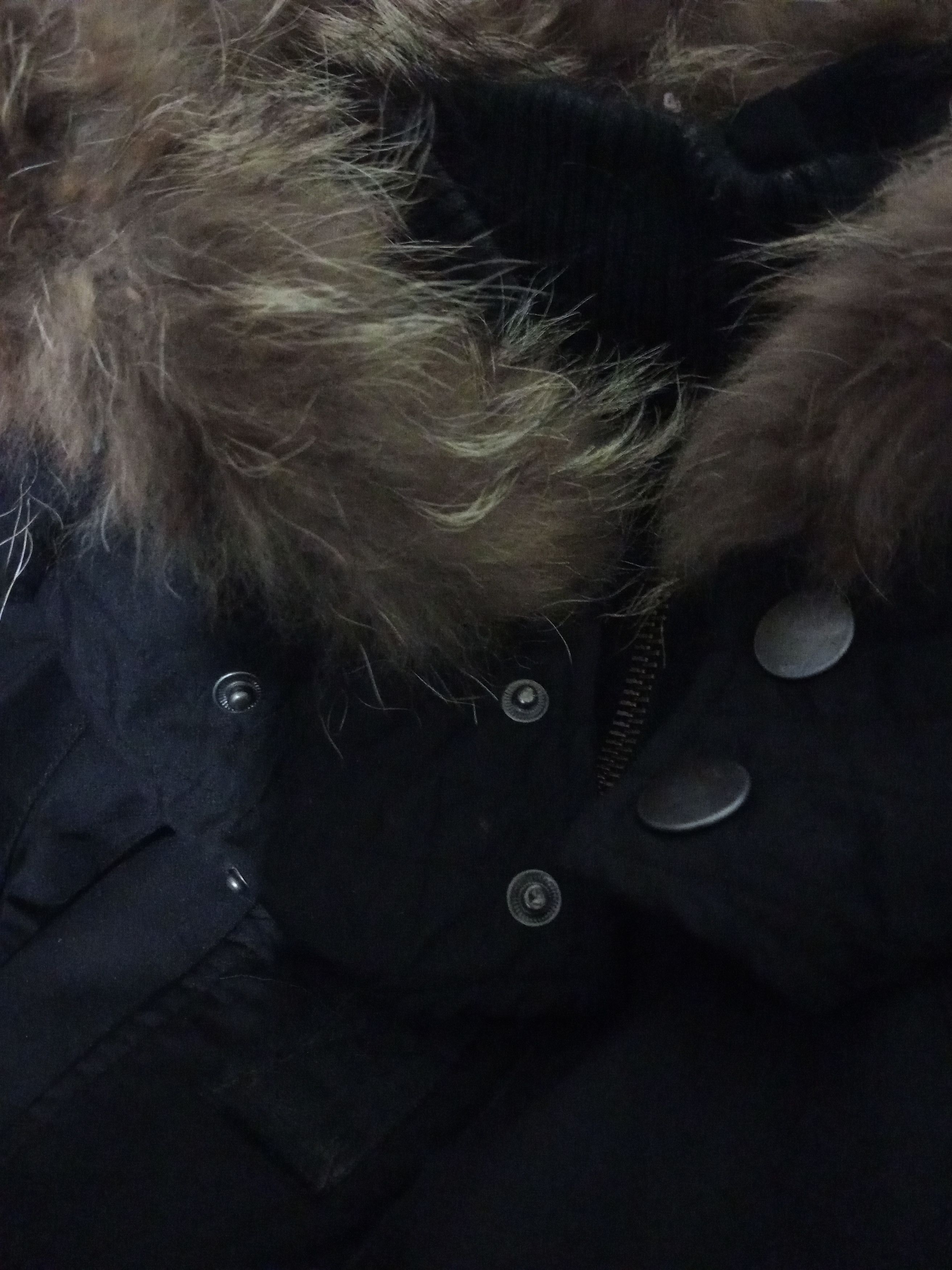Beauty Beast Glad news Fur Parka w/ Mohair Leopard inner vest Size US M / EU 48-50 / 2 - 6 Thumbnail