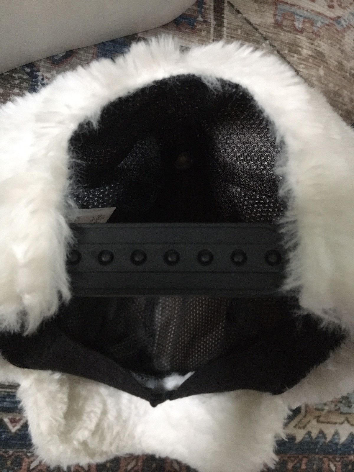If Six Was Nine × Le Grande Bleu (L.G.B.) Universal Studios Dog Hat Size ONE SIZE - 6 Thumbnail