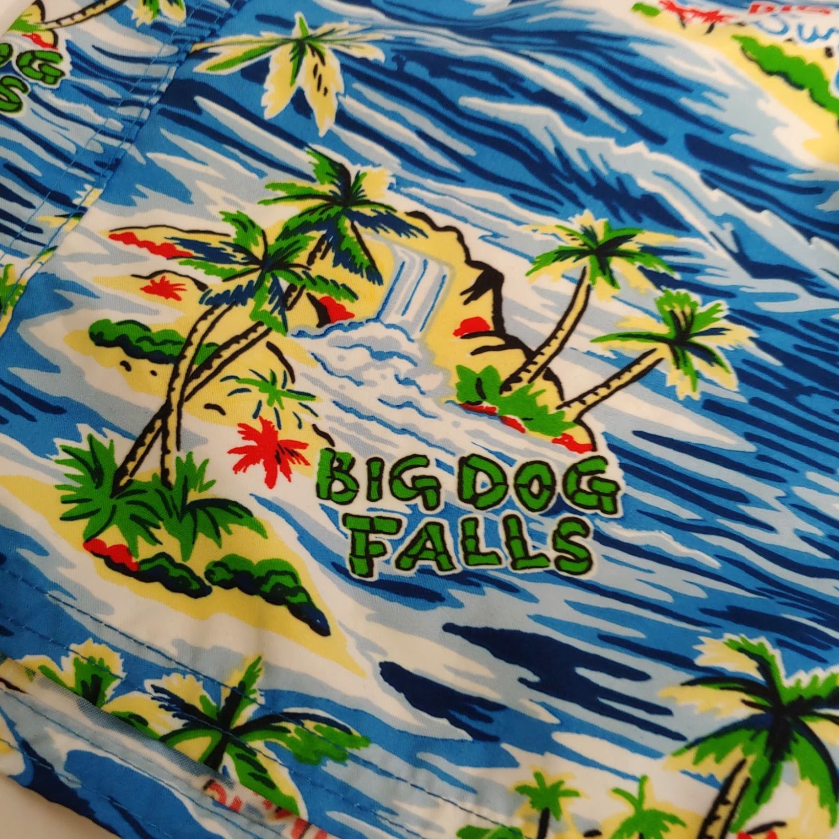 Big Dogs Big Dogs Trunks Mens XL Shorts Print Tropical Island Big Kahuna Beach Size US 36 / EU 52 - 6 Thumbnail