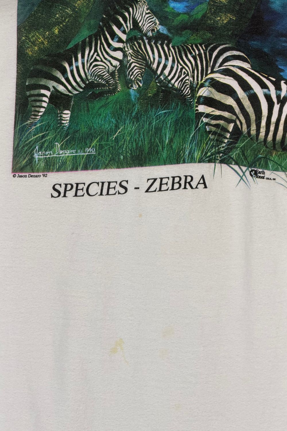 Hanes Vintage 1992 Zebra Wildlife Tee Earth Tones Single Stitch Size US XL / EU 56 / 4 - 6 Thumbnail