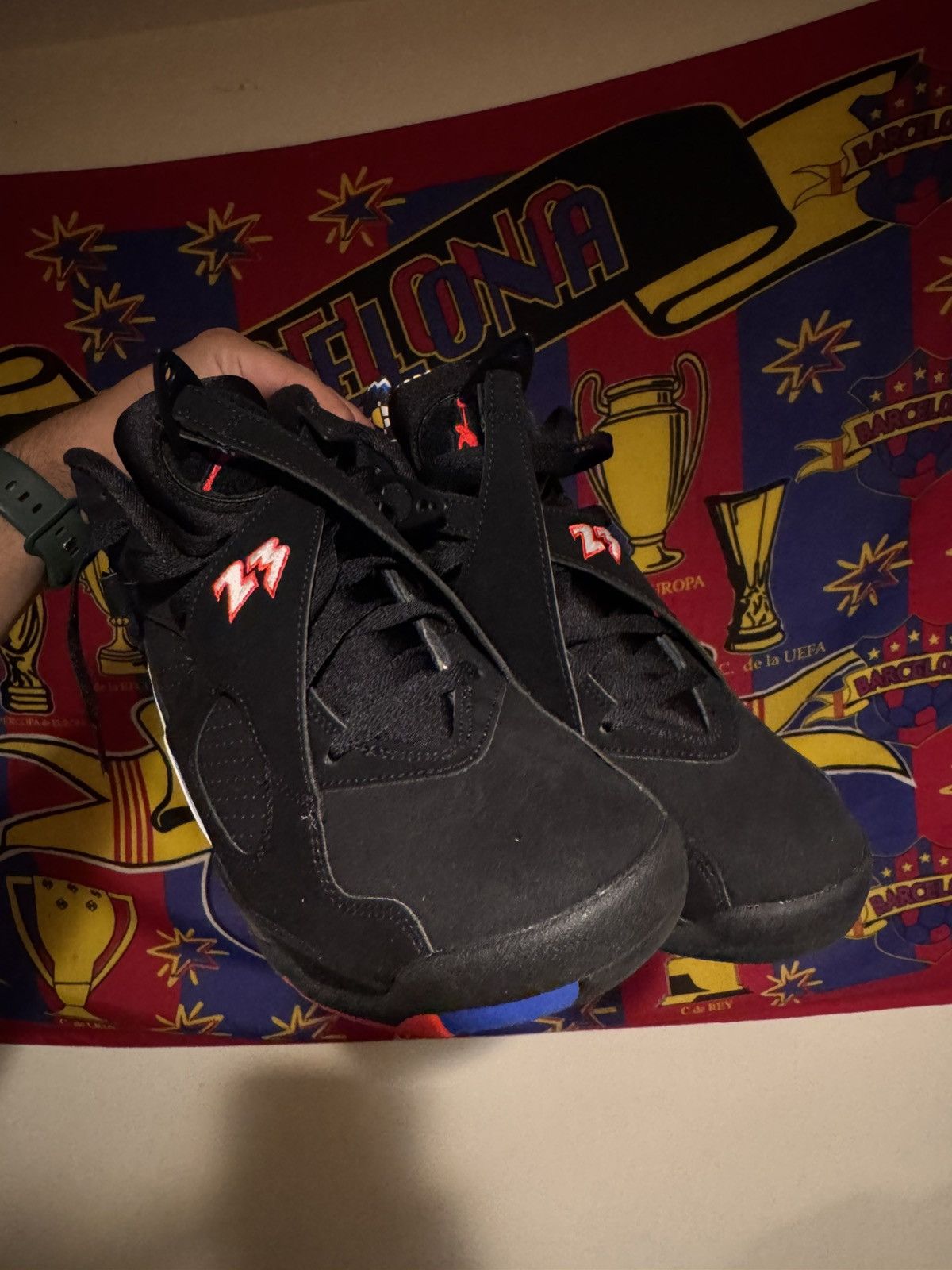 Jordan 8 Playoffs