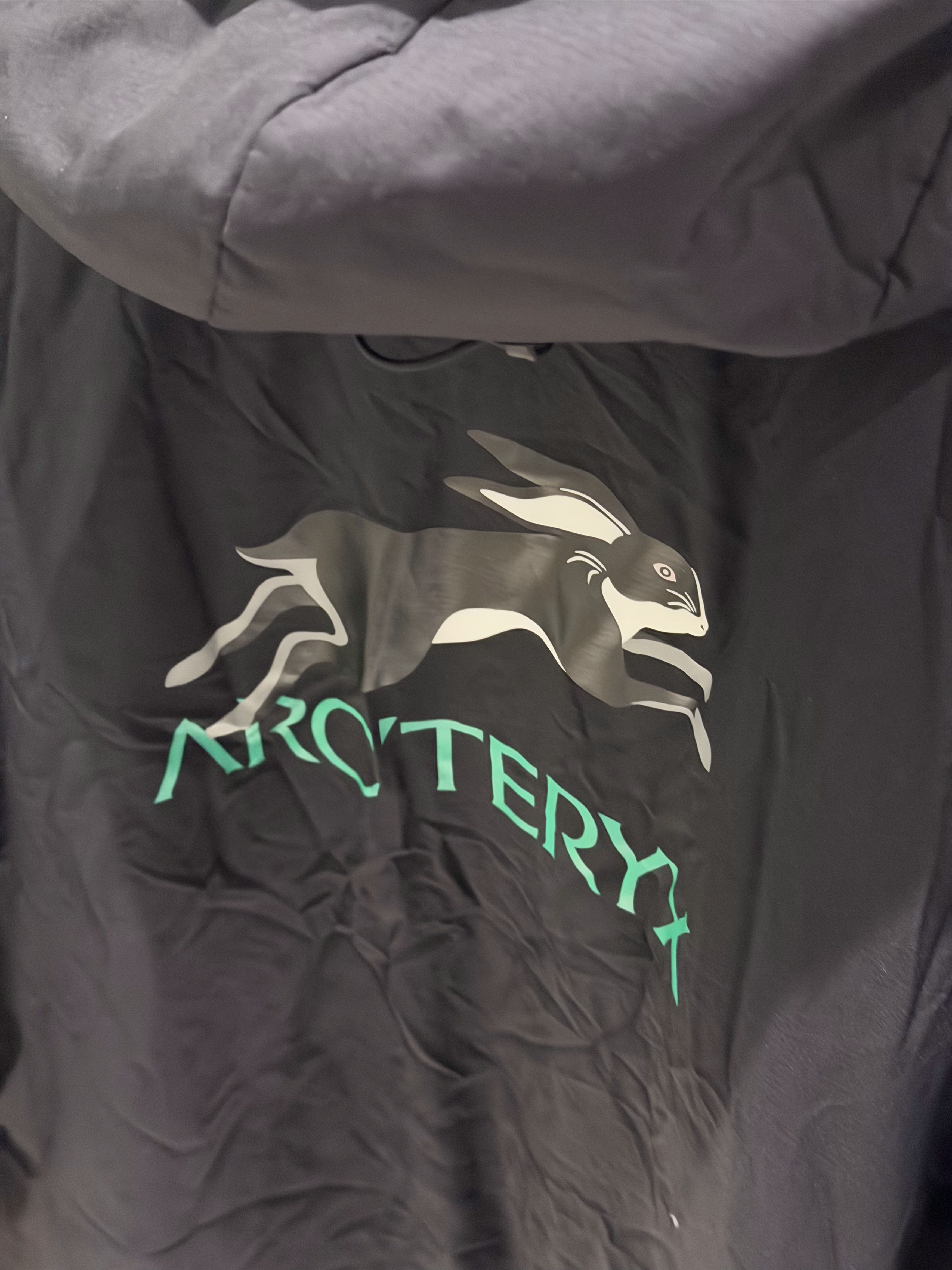 Arc'teryx Arc'teryx Atom LT - Year of the Rabbit Limited Edition Size US L / EU 52-54 / 3 - 2 Thumbnail