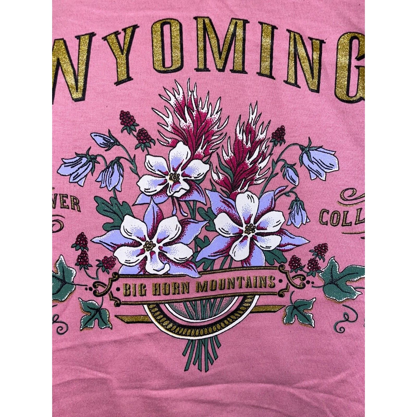 Jerzees Vintage Wyoming Wildflower Shirt Big Horn Pink Tee VTG 90s S Size US S / EU 44-46 / 1 - 2 Thumbnail