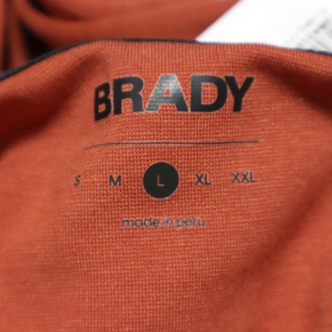 Vintage Brady Pliability High Stretch Solid Hoodie Rust Men L Shirt Size US L / EU 52-54 / 3 - 6 Thumbnail